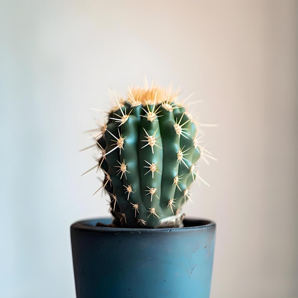 ai generiert Kaktus im ein minimalistisch Zimmerpflanze Topf foto