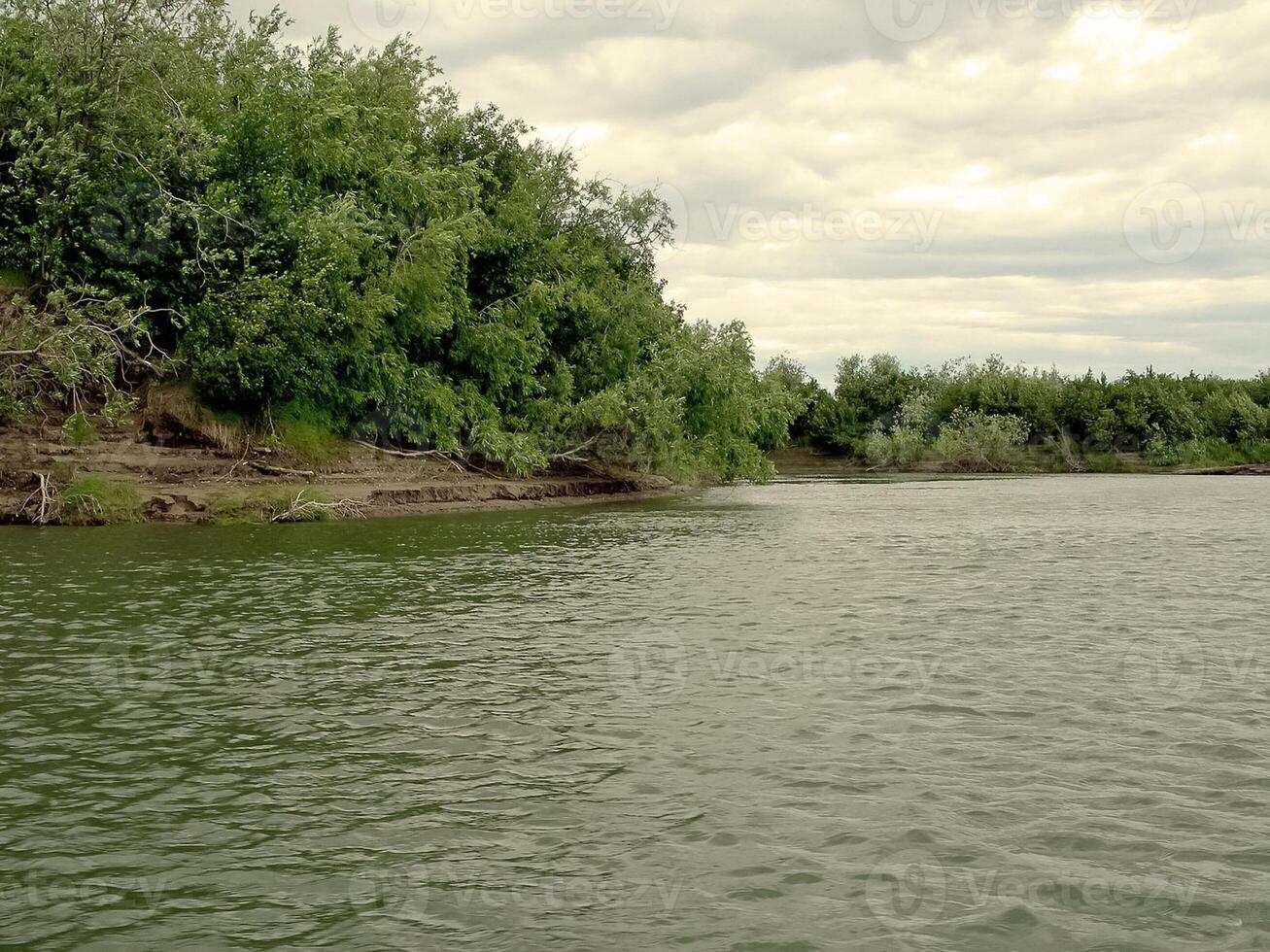 Fluss Landschaft. Nord Rentier im Sommer- Wald. das Himmel, GR foto