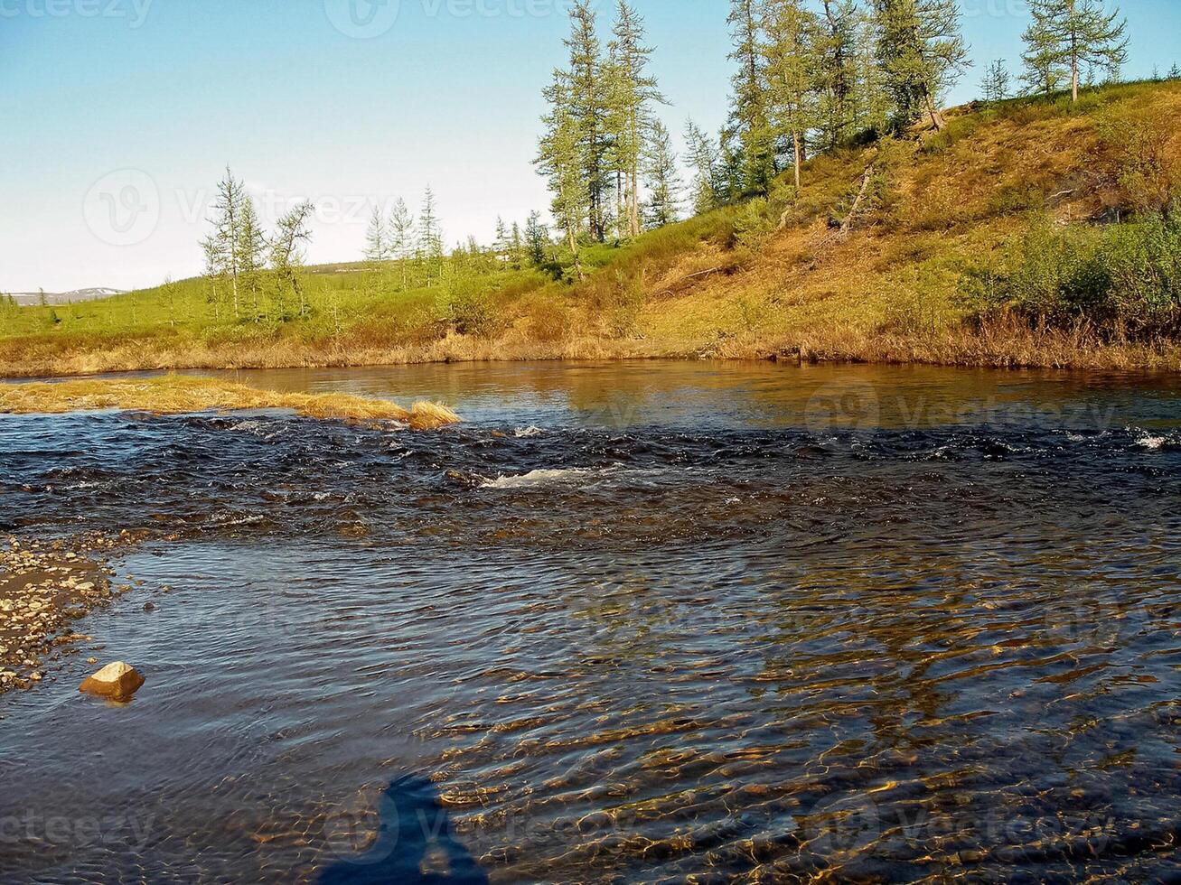 Fluss Landschaft. Nord Rentier im Sommer- Wald. das Himmel, GR foto