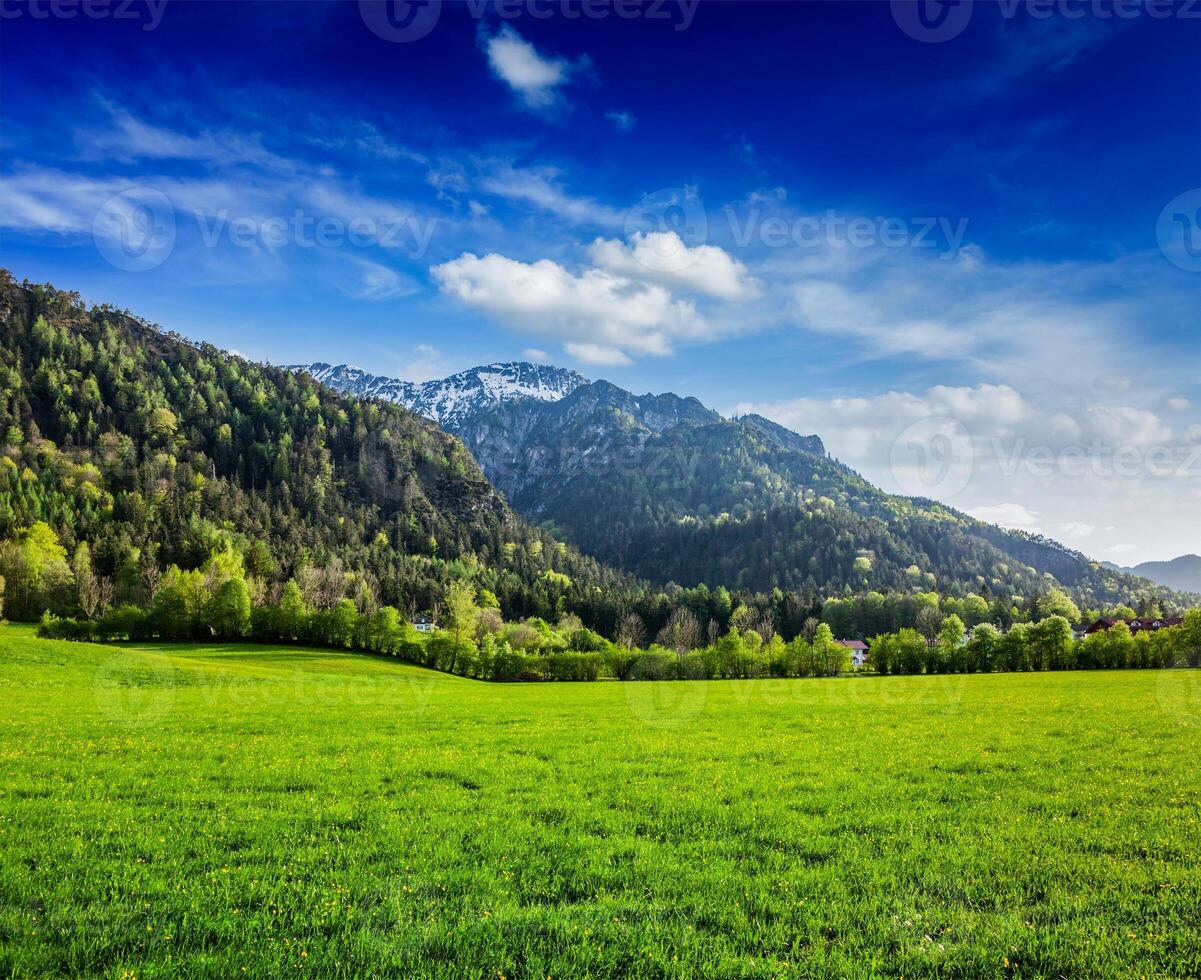 alpin Wiese im Bayern, Deutschland foto