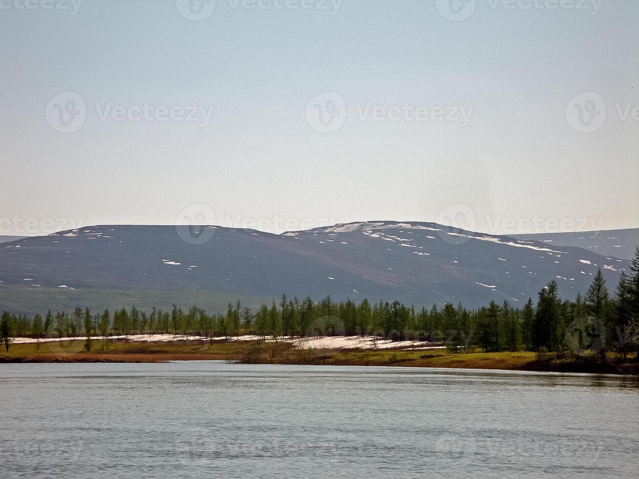 Fluss Landschaft. Nord Rentier im Sommer- Wald. das Himmel, GR foto