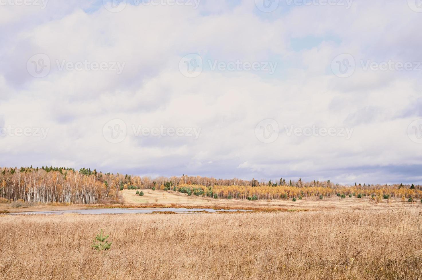 goldener Herbst Herbstzeit foto