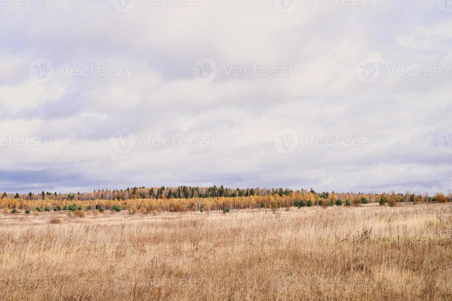 goldener Herbst Herbstzeit foto