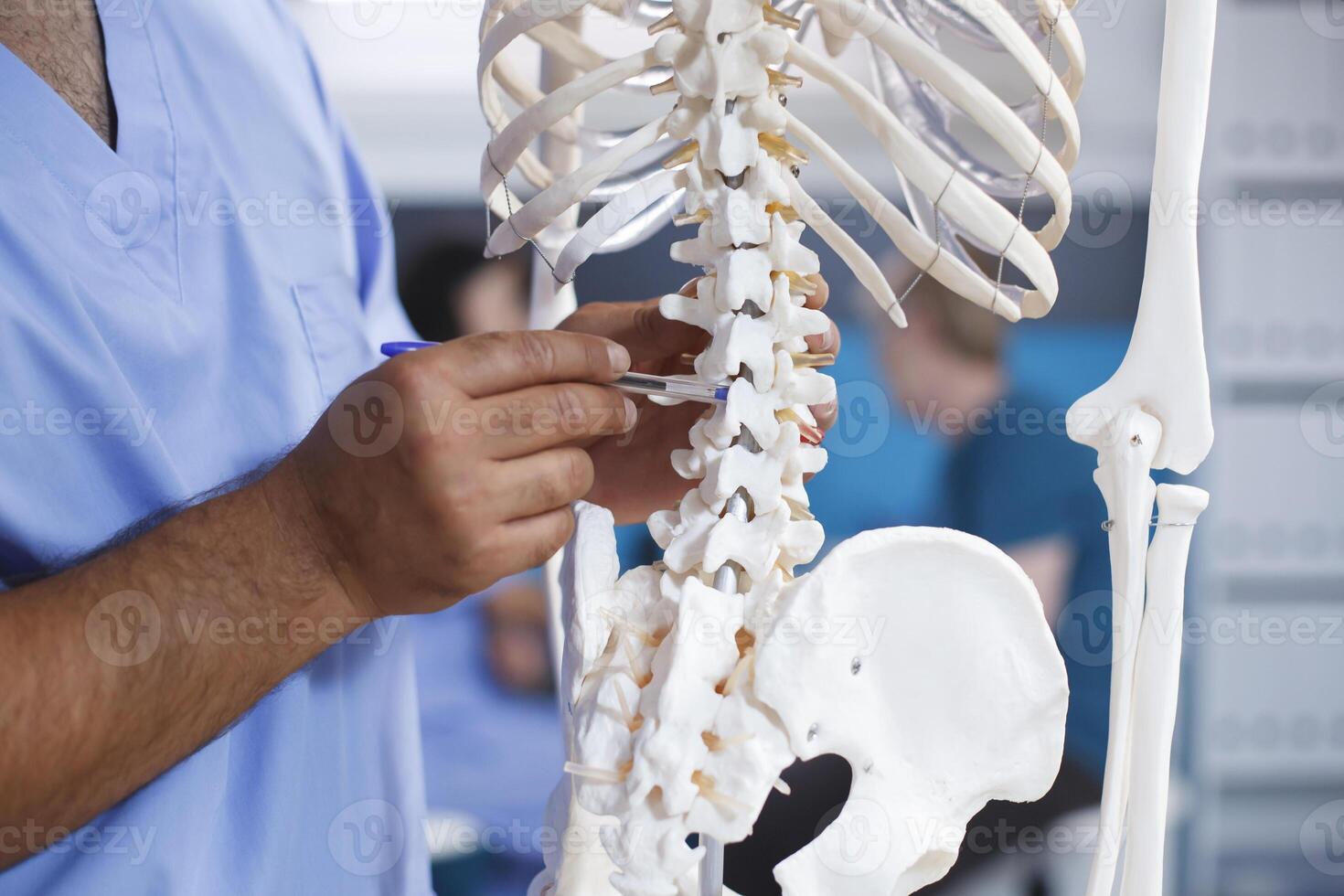 durch zeigen zu das Rückgrat von Mensch Skelett, Chiropraktiker Diagnosen physisch Mängel und erklärt Schmerz. Nahansicht von medizinisch Assistent Aufschlussreich Osteopathie System und Wirbelsäule Kabel. foto