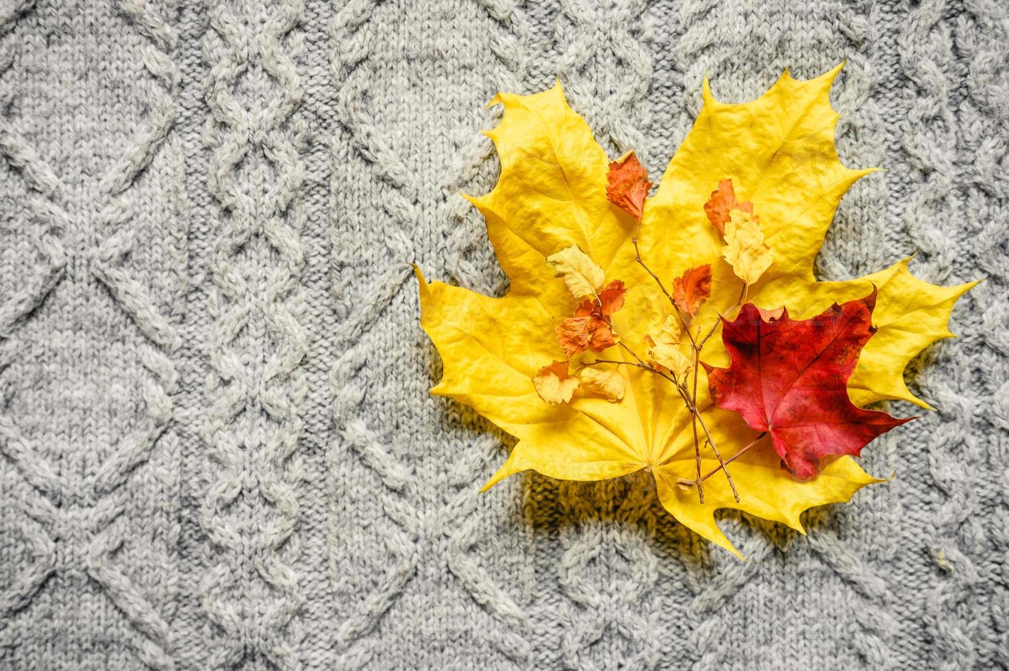 Herbstgelbe und rote Ahornblätter auf dem Hintergrund eines grauen gemütlichen Strickpullovers foto