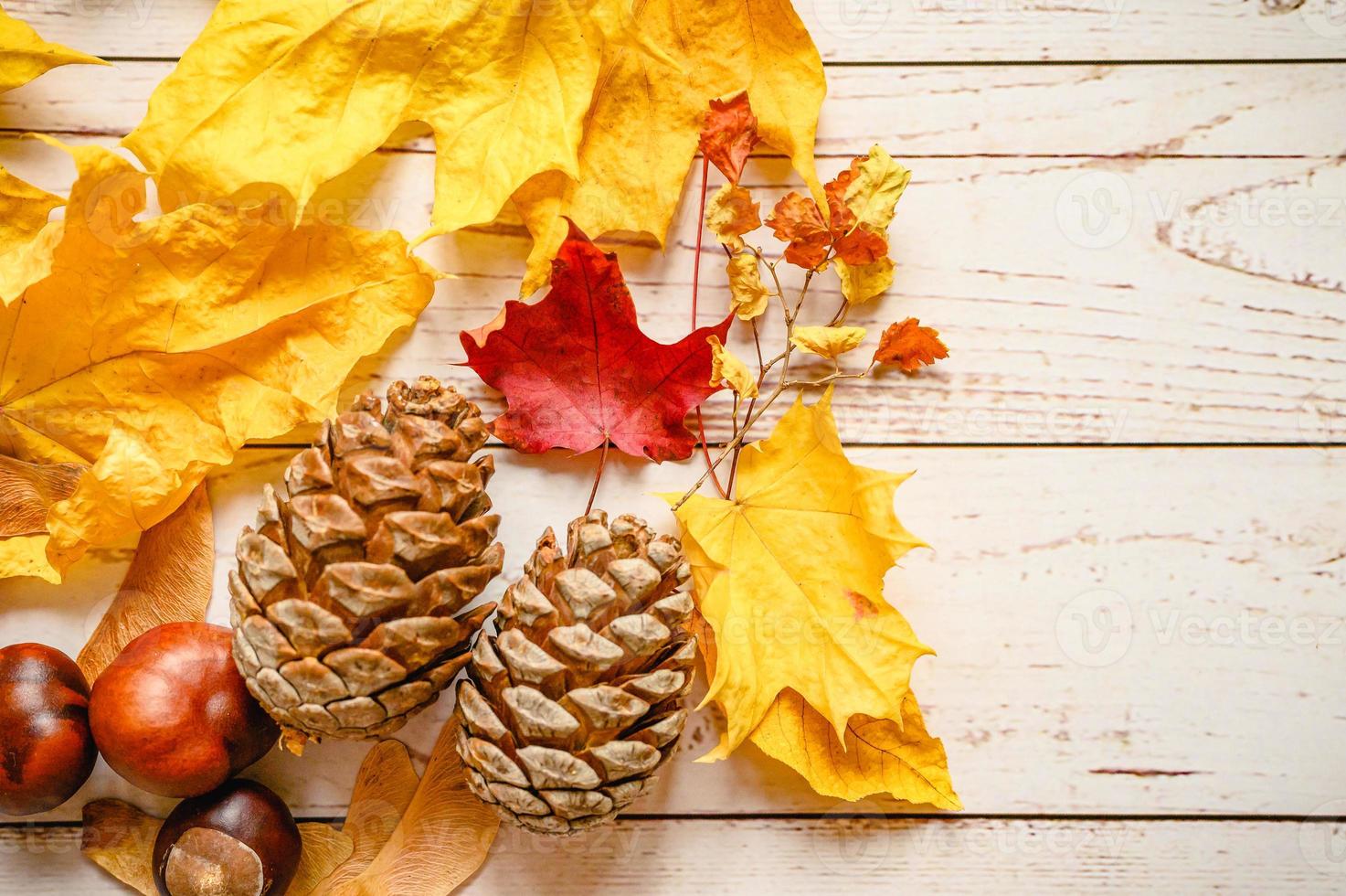 herbst herbst goldene blätter flach legen foto