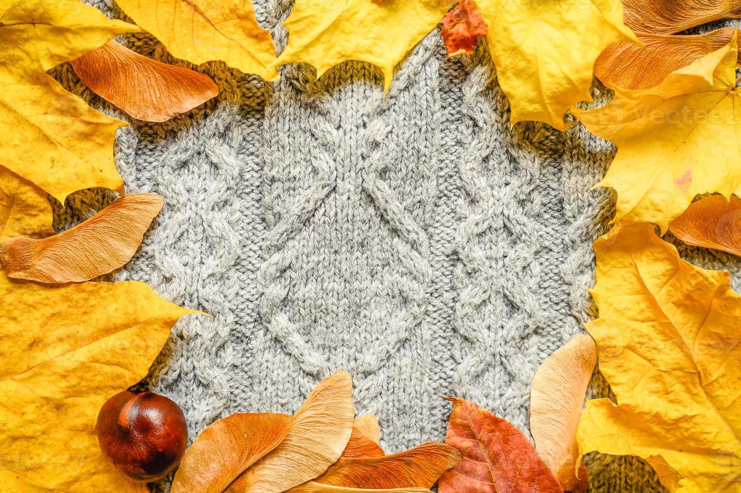 kuscheliger Herbst-Herbst-Pullover foto