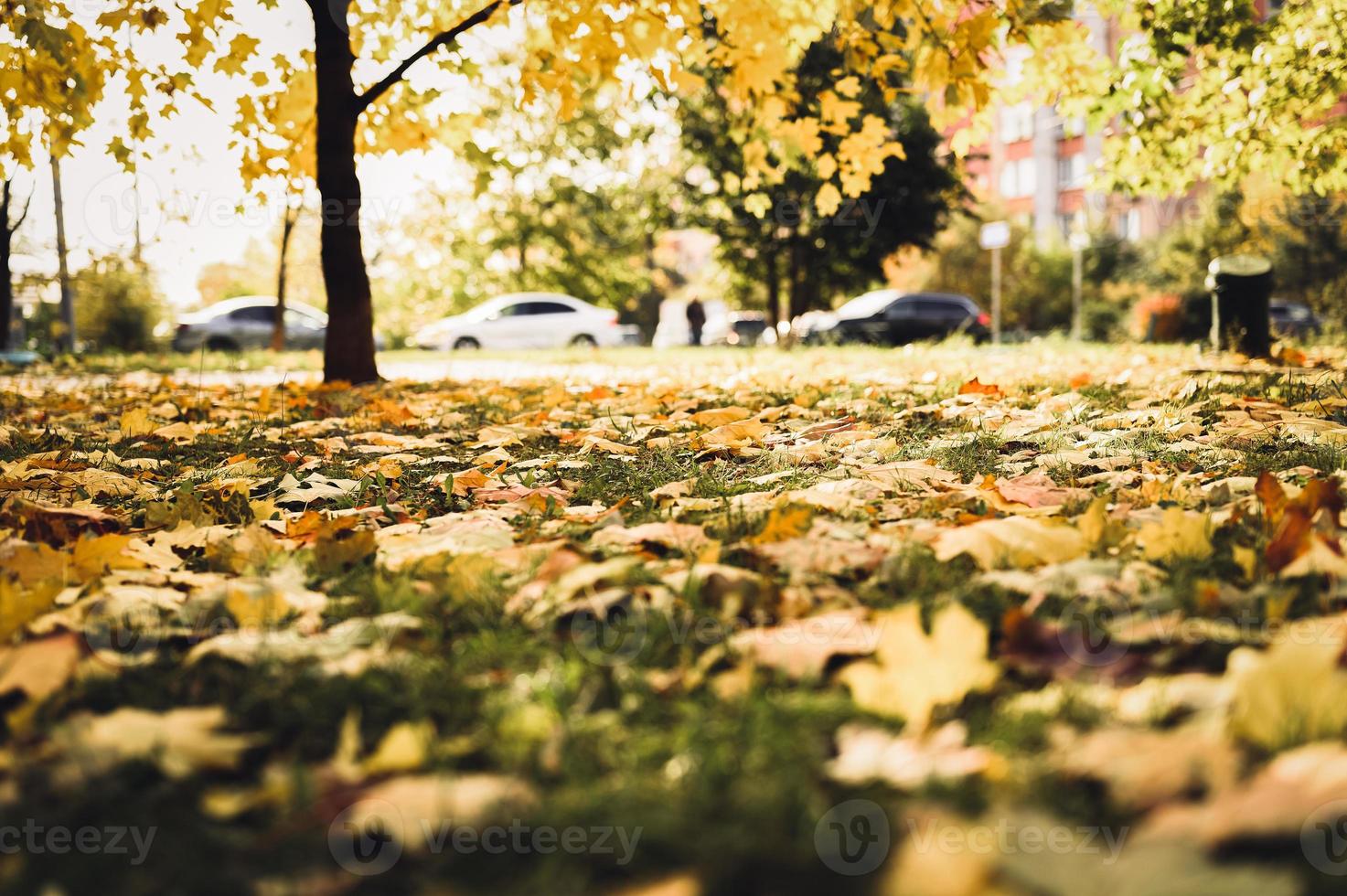 goldener Herbst Herbstzeit foto