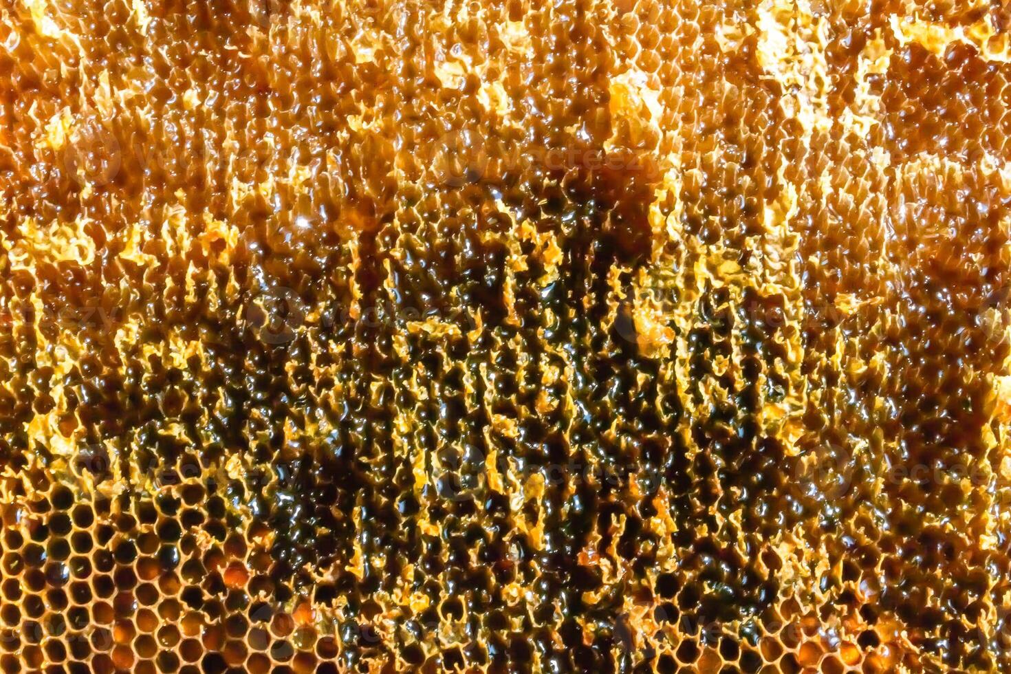 Tropfen Bienenhonig tropfen aus sechseckigen Waben, die mit goldenem Nektar gefüllt sind foto