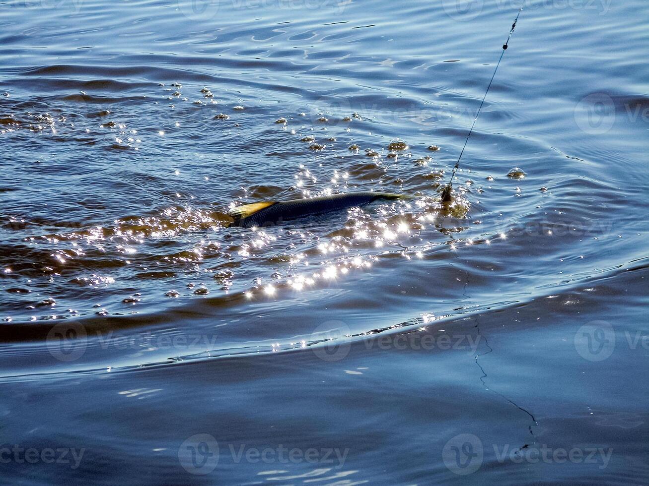 Angeln zum Pike. Angeln im das Fluss. Angeln zum Pike. foto