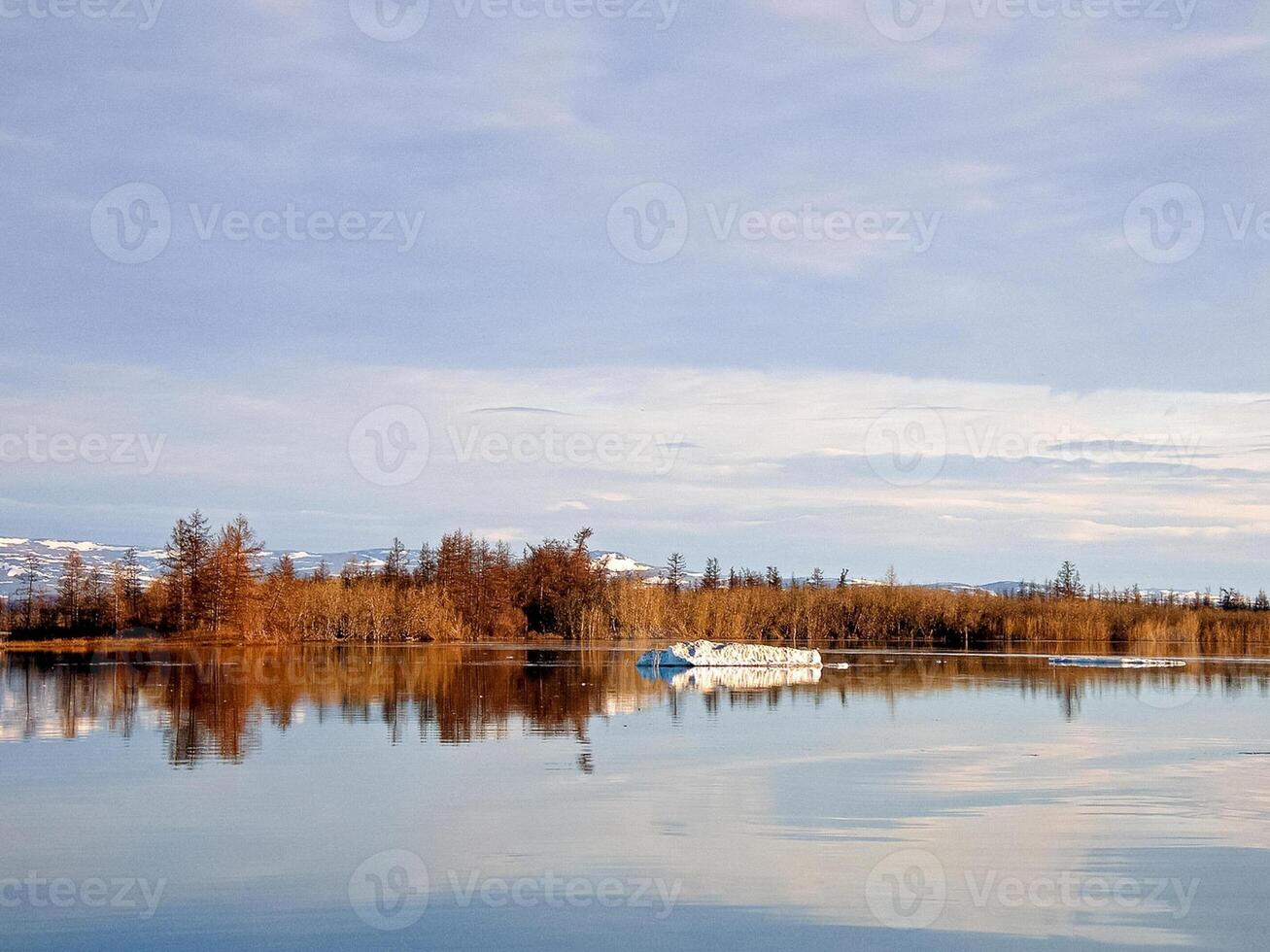 Fluss Landschaft früh Frühling. nackt Bäume, schmelzen Schnee. foto