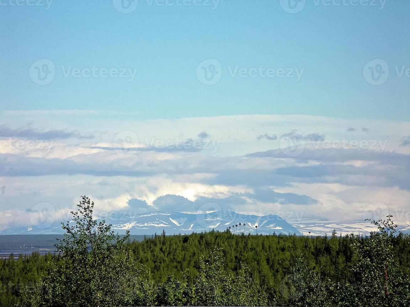 Wald Tundra Landschaft im das Sommer. Taiga von Sibirien. Jamal. foto