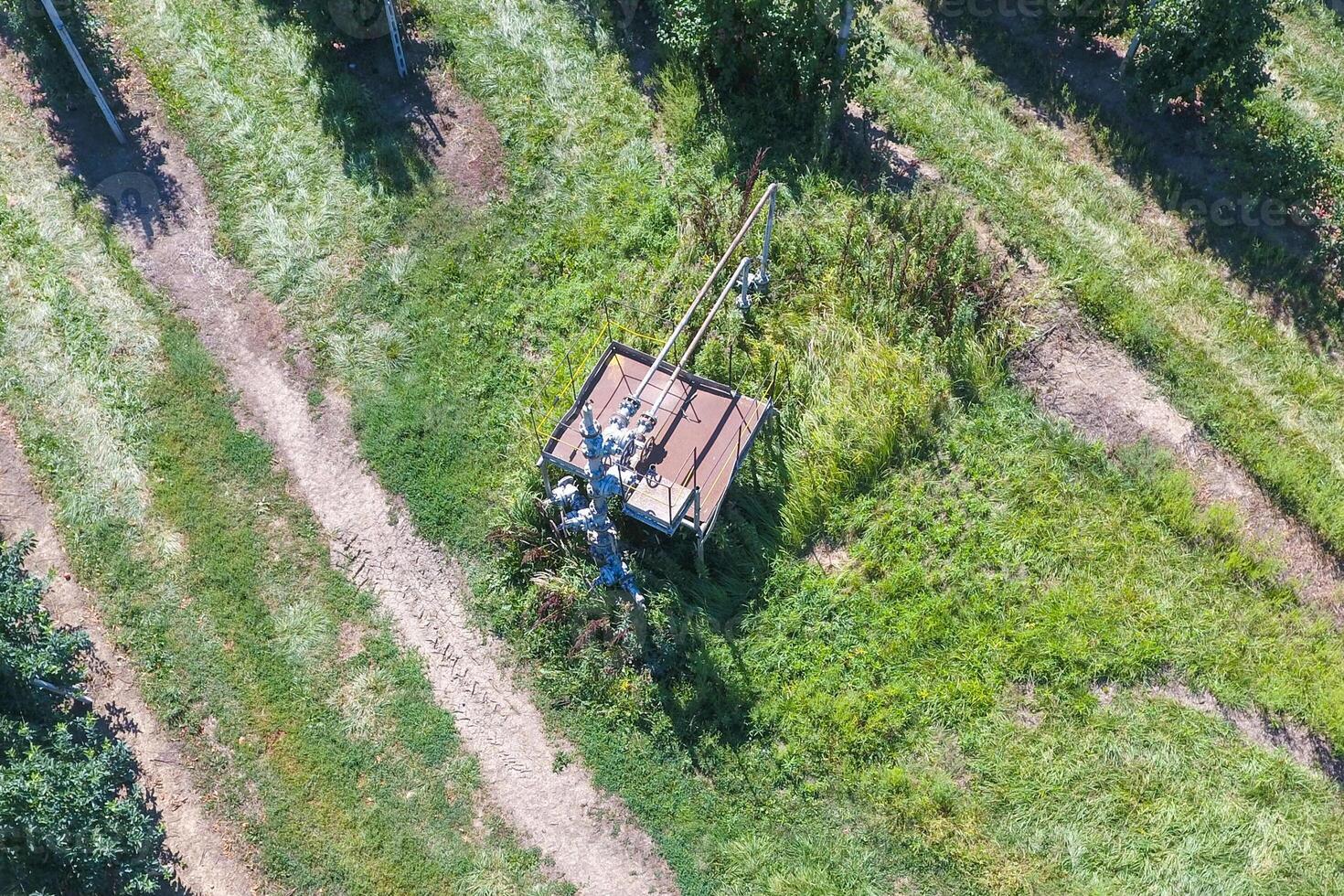 das Gut im das Apfel Obstgarten, oben Sicht. foto