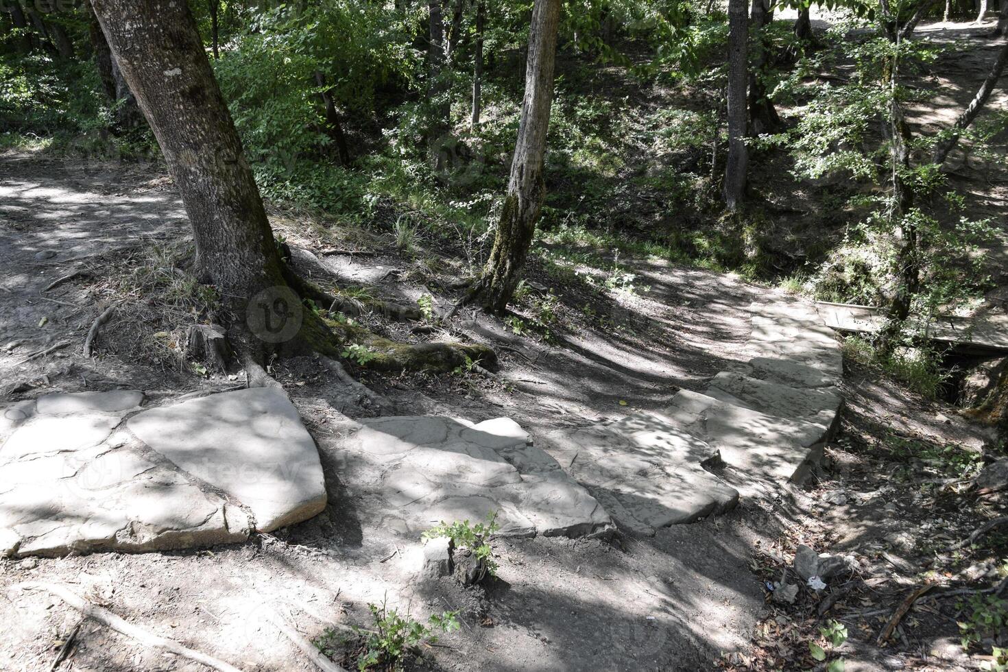 Pfad gelegt aus von Stein Platten. ein Pfad im das Berge. foto