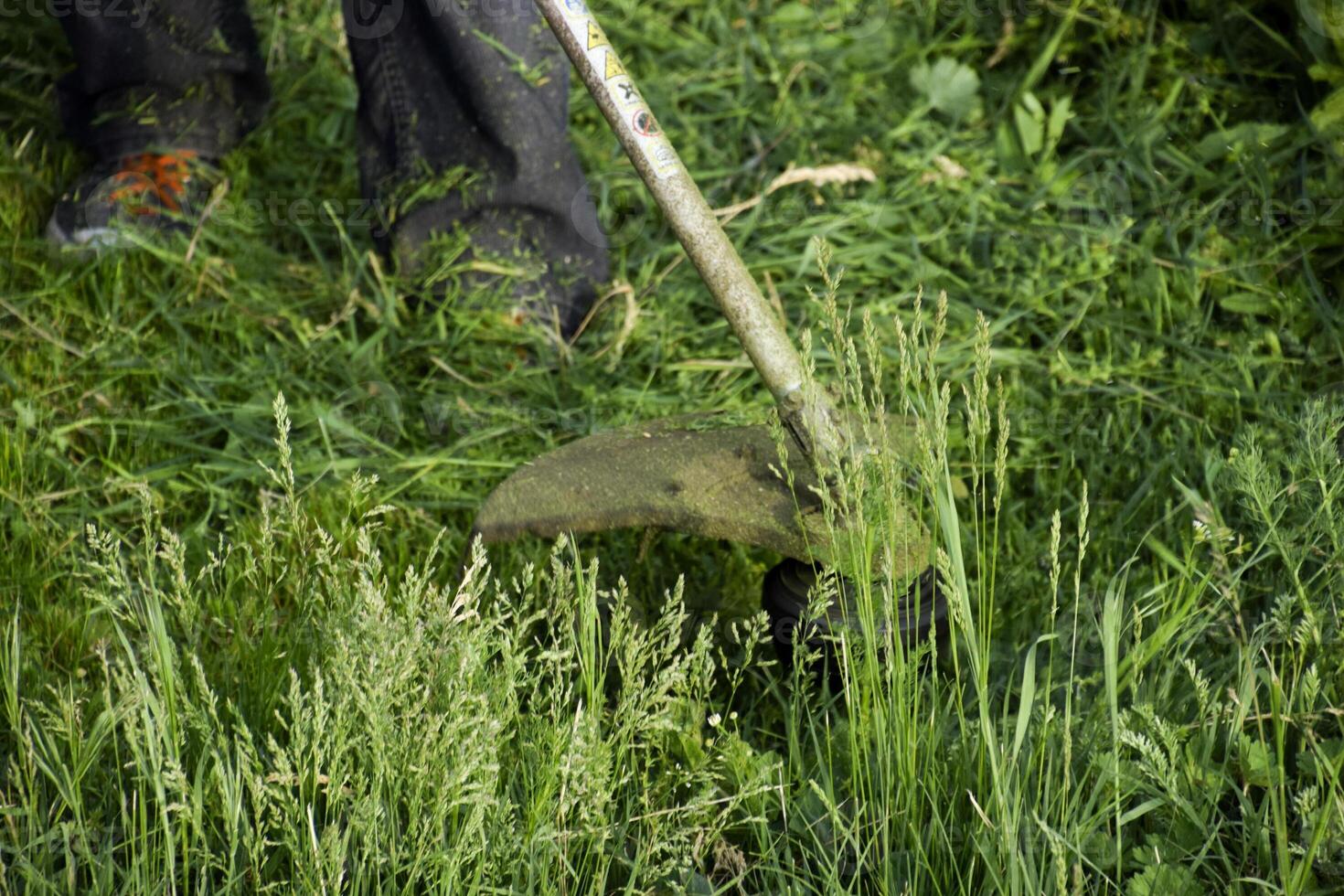 Anwendung Trimmer. Mähen Grün Gras mit ein Angeln Linie Trimmer foto