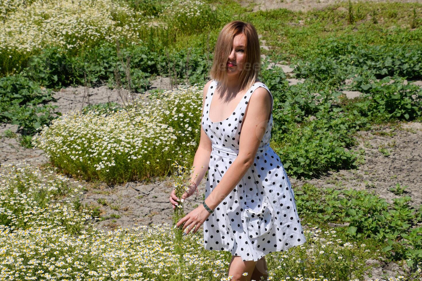 ein Frau im ein Weiß Kleid mit Polka Punkte ist auf ein Lichtung mit Gänseblümchen. Blühen Gänseblümchen foto