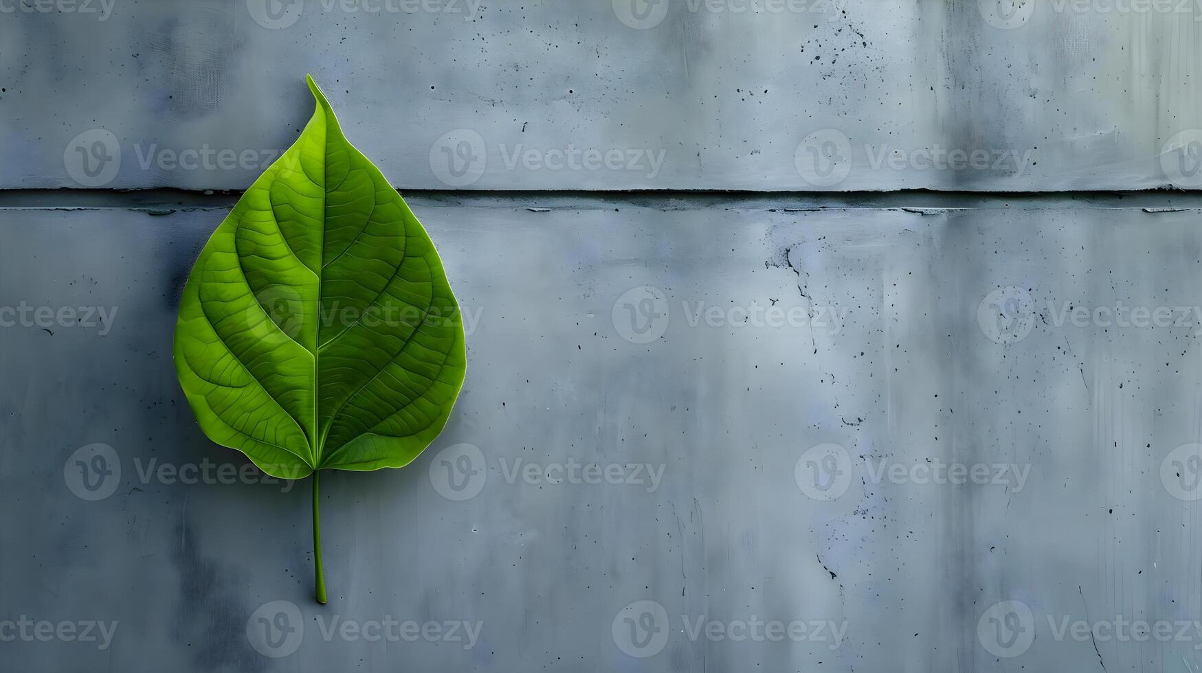 ai generiert ein Grün Blatt auf ein Beton Mauer foto