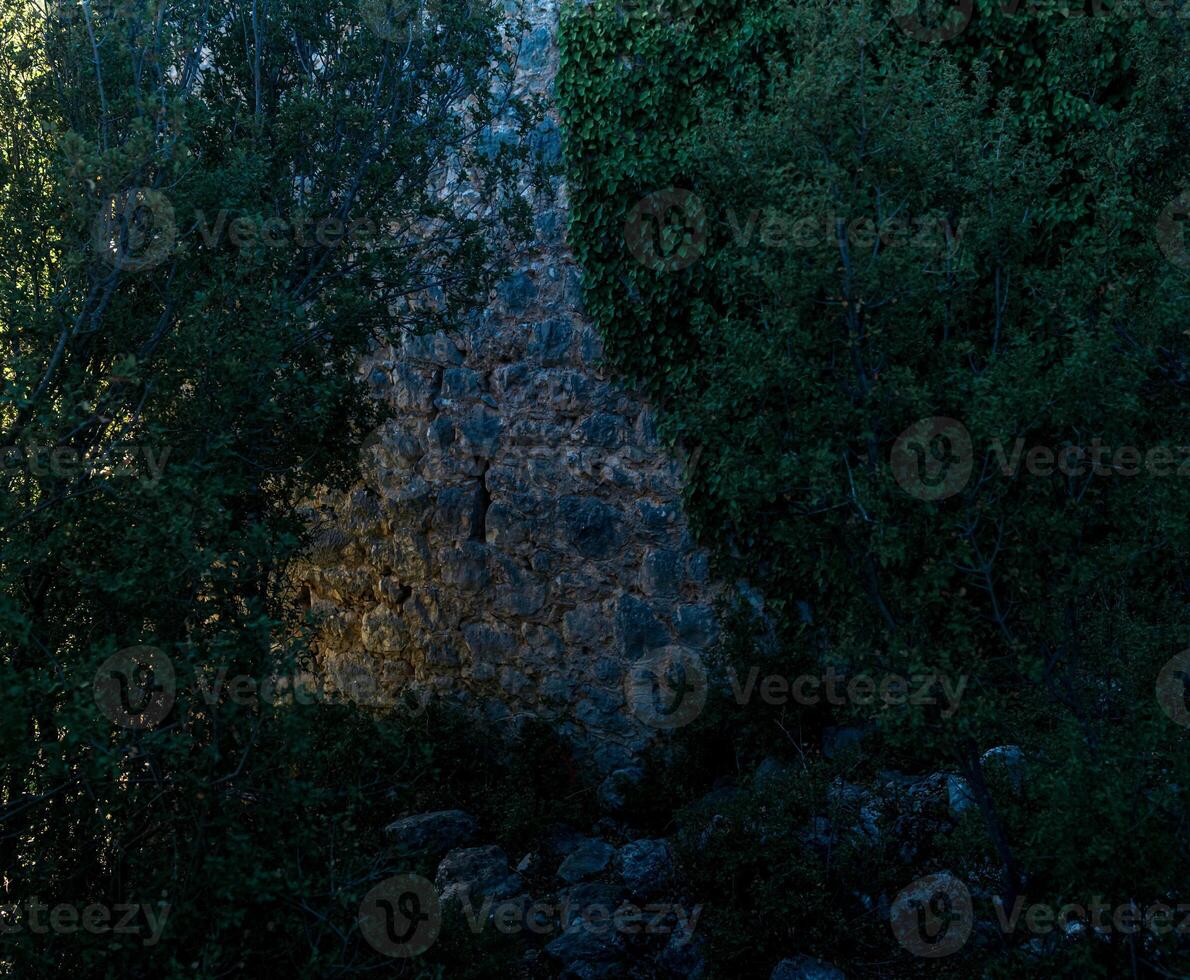 schattig bewachsen Ruinen von das Schloss sind verschlungen mit Efeu foto