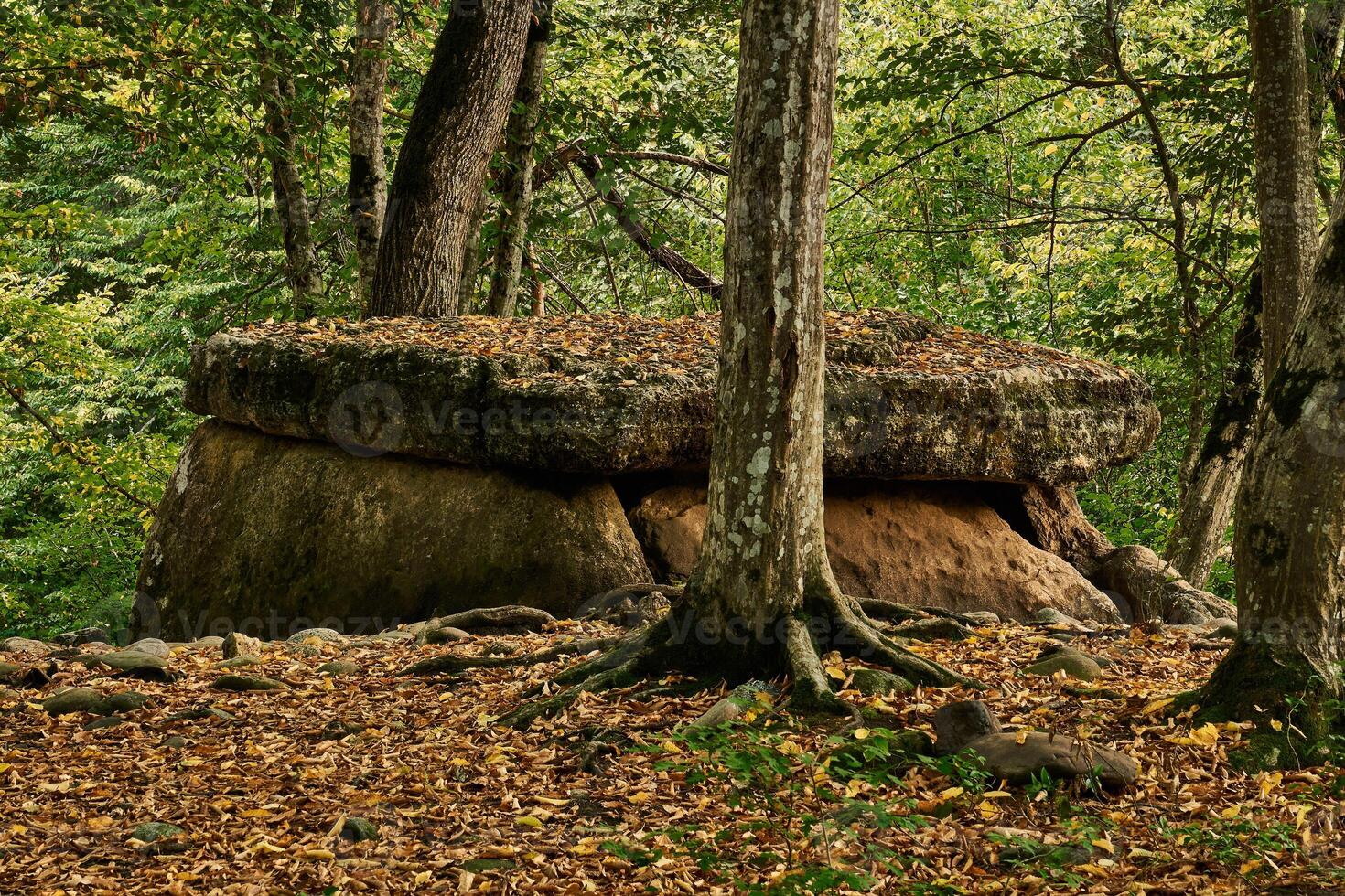 uralt Megalith Dolmen unter Bäume im ein Herbst Hain foto