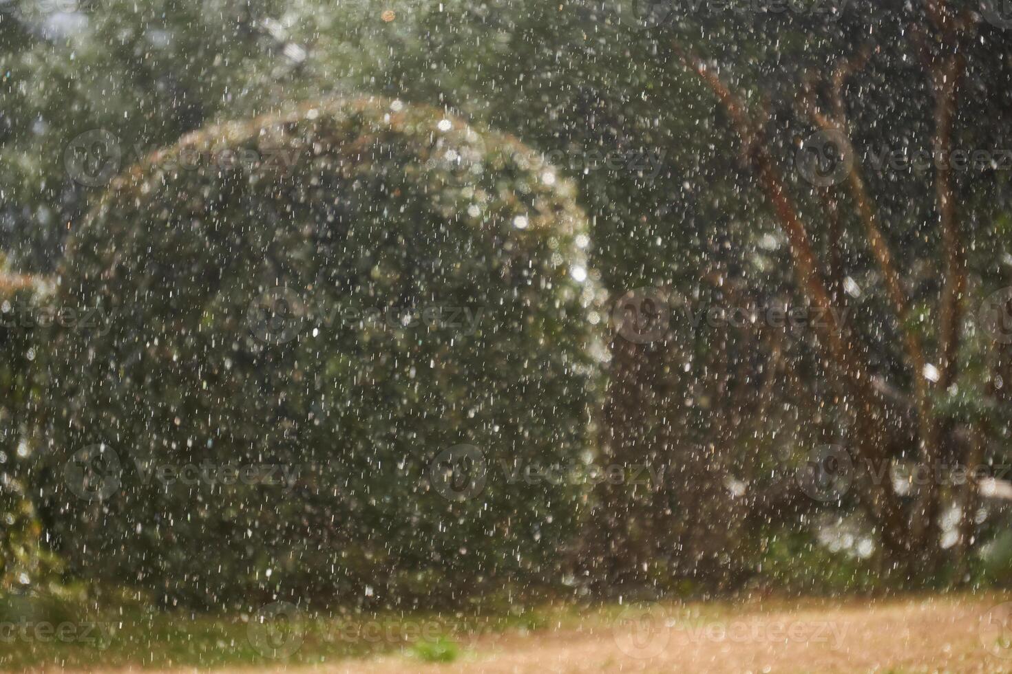 verschwommen Hintergrund - - plötzlich Schneefall im das Park, Gebüsch und Bäume sind erraten im das Hintergrund foto