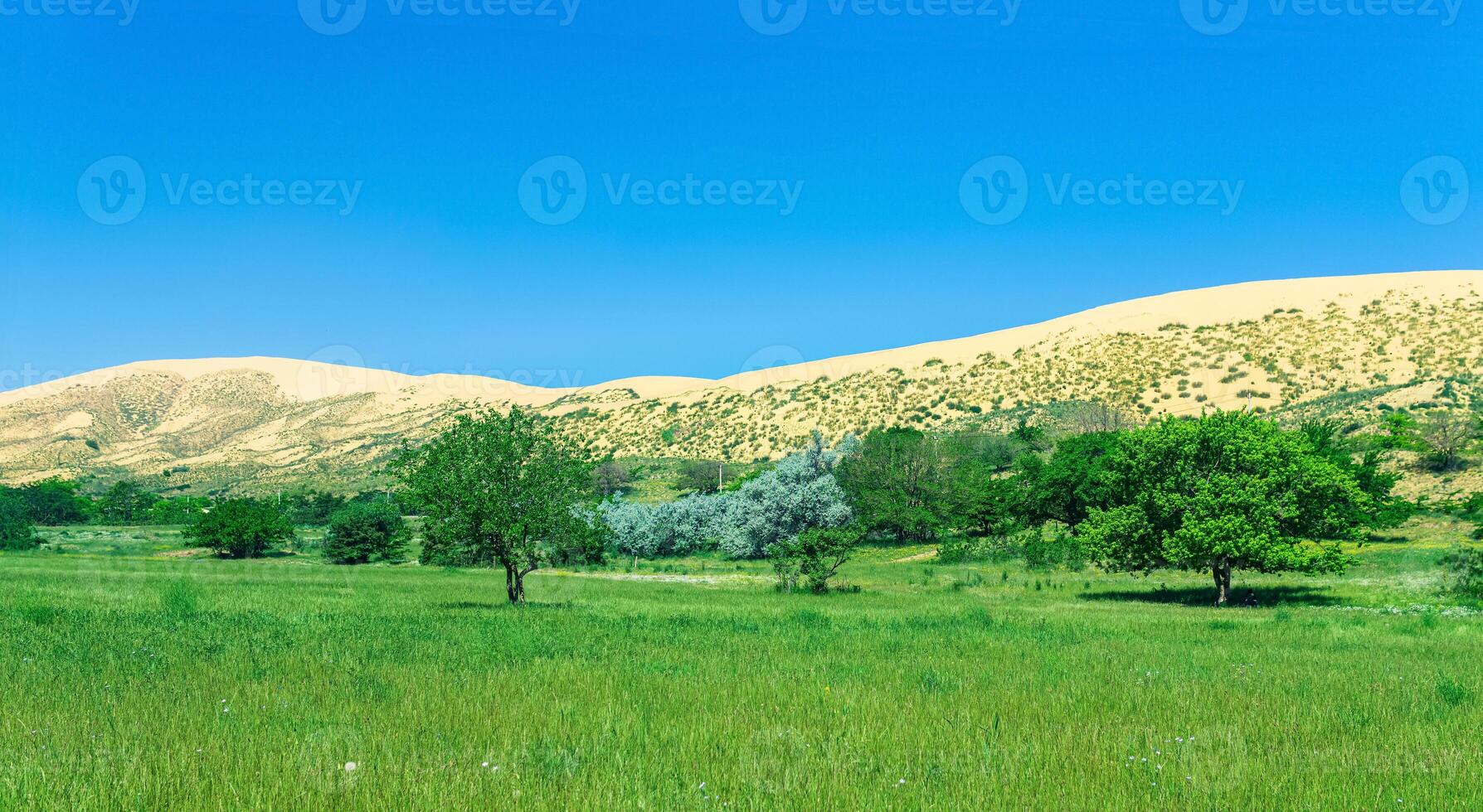 natürlich Landschaft mit ein enorm Sand Düne sarykum im das Hintergrund foto