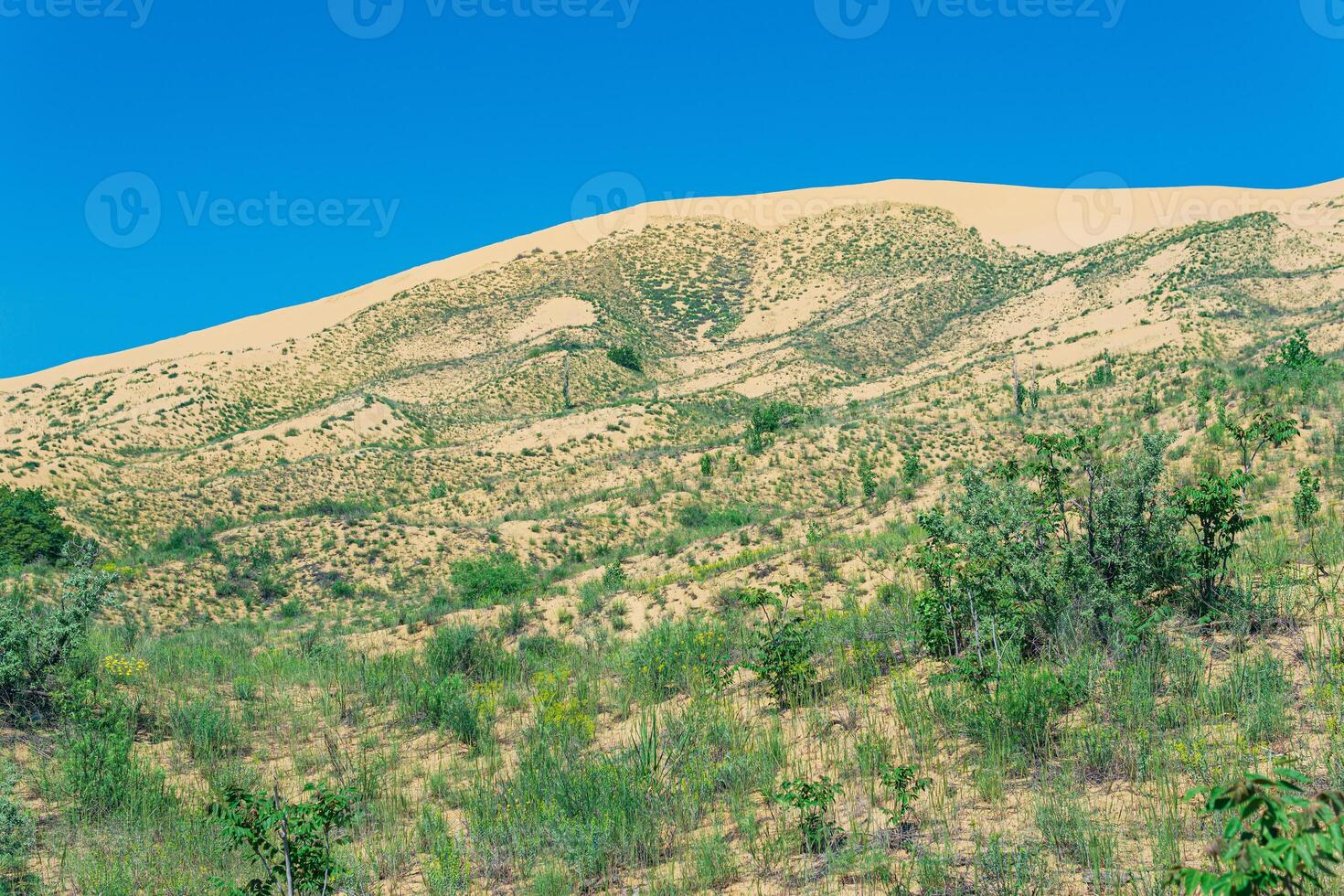 Steigung von ein Sand Düne mit Pflanzen Blühen im Frühling, sarykum Düne im Dagestan foto