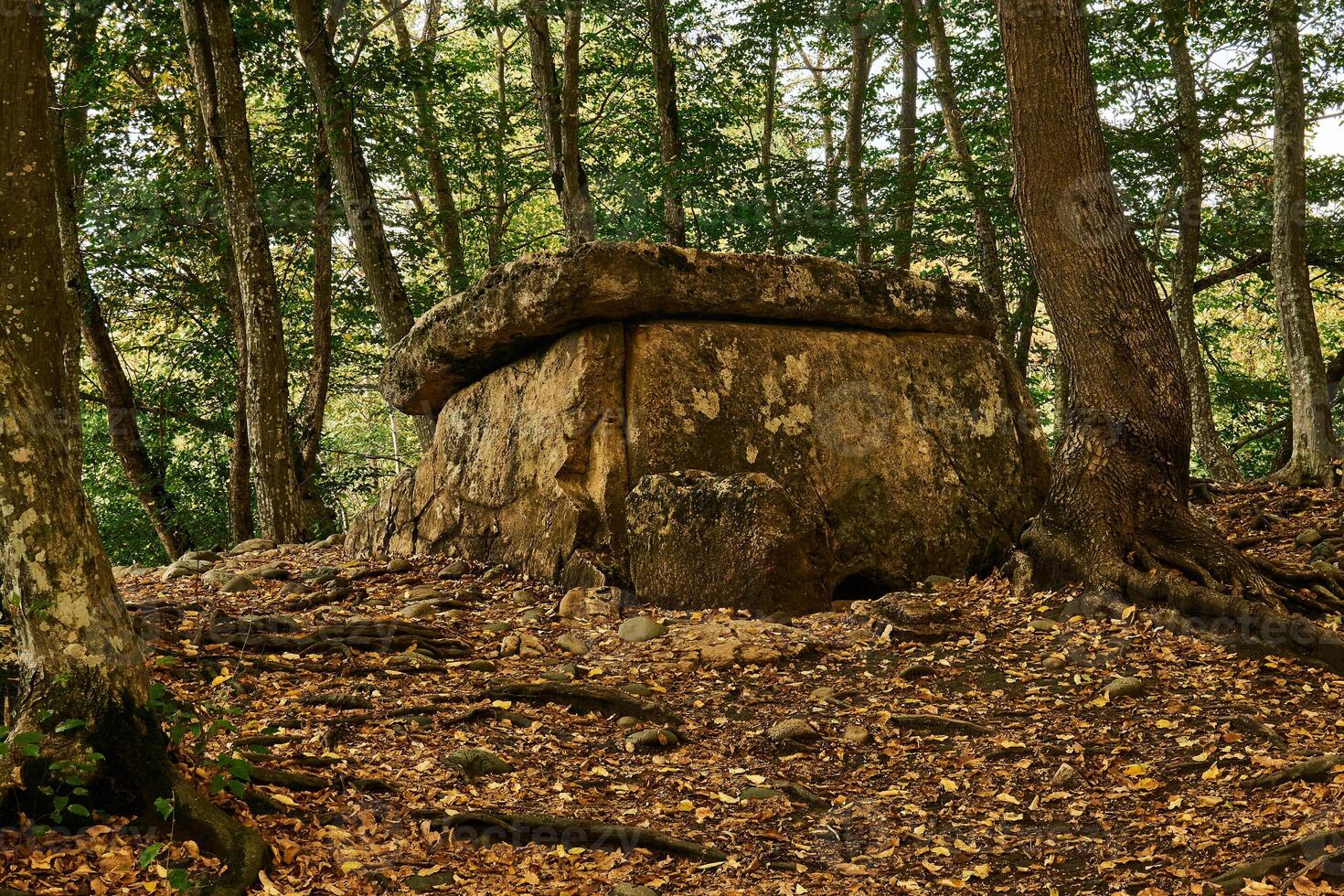 uralt Megalith Dolmen unter Bäume im ein Herbst Hain foto