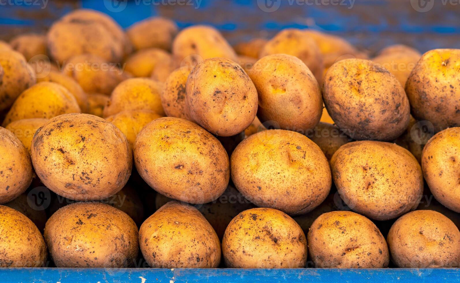 Kartoffel Knollen auf das Zähler im das lokal Markt Nahansicht foto