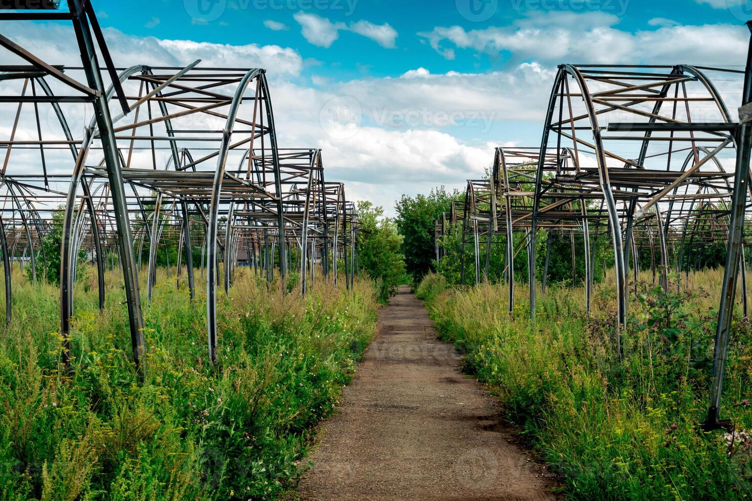 Ruinen von das Gewächshaus Komplex unter Dickicht, Ablehnen von Landwirtschaft foto