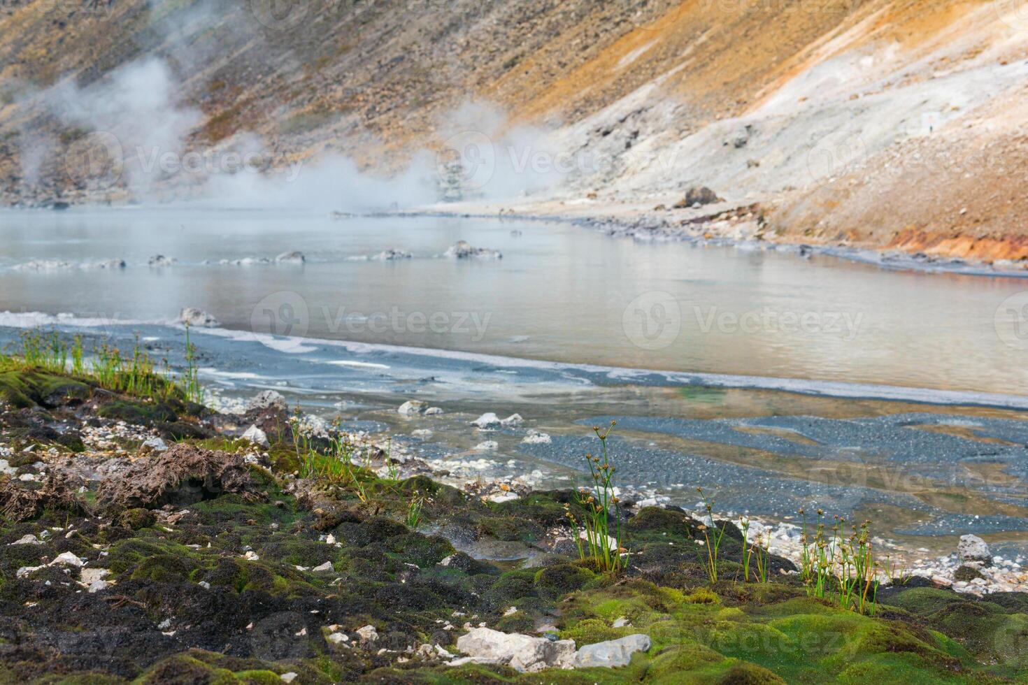 extremophil Vegetation auf das Ufer von ein heiß mineralisiert vulkanisch See, erinnernd von das zuerst Land Pflanzen foto