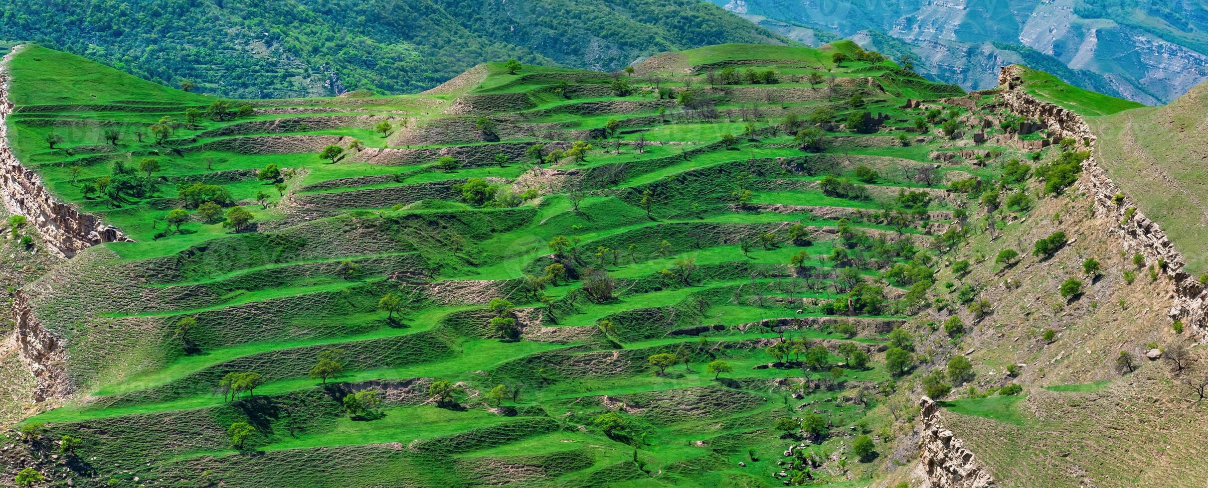 Berg Landschaft mit Grün terrassiert Heu Felder auf das Pisten foto