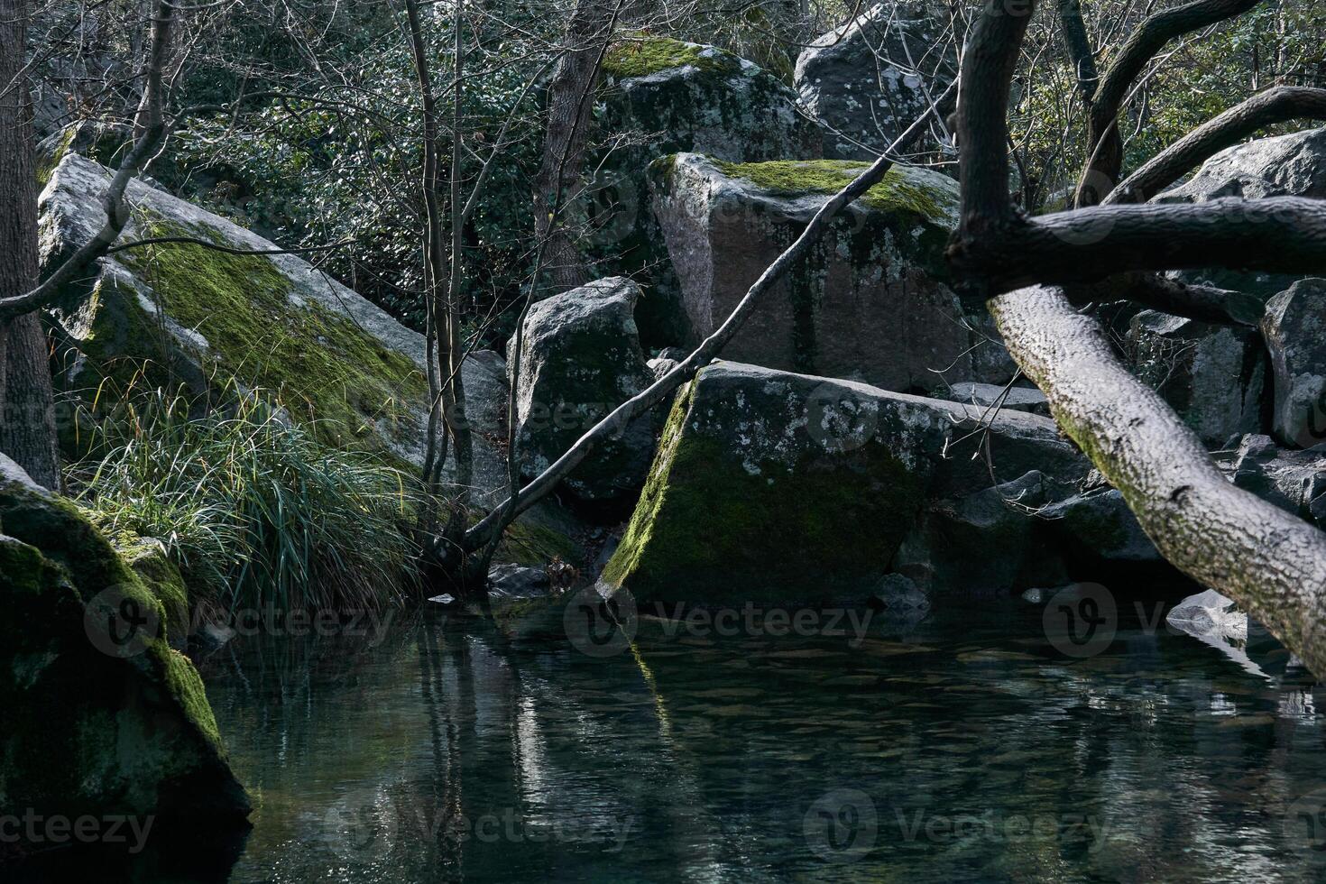 felsig Küste von Herbst Teich im Landschaft Park foto