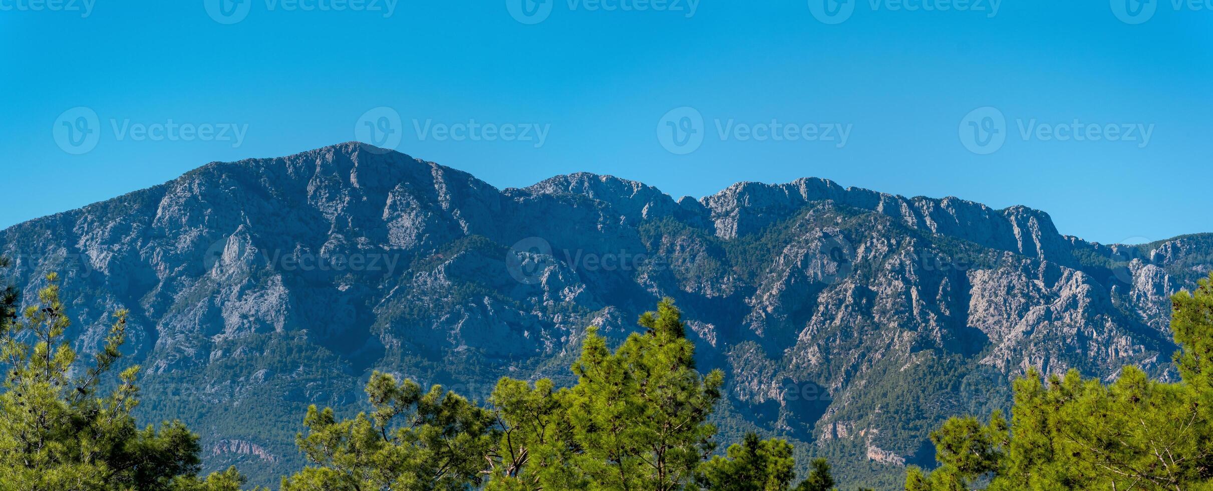 entfernt Berge hinter das Spitzen von Kiefer Bäume - - Landschaft, Panorama foto