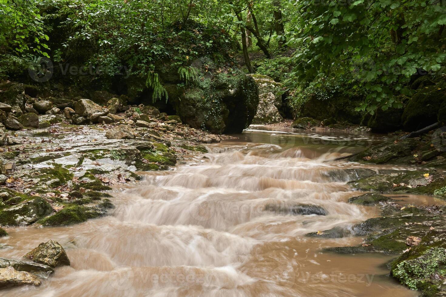 schlammig Fluss im das subtropisch Wald nach Regen foto