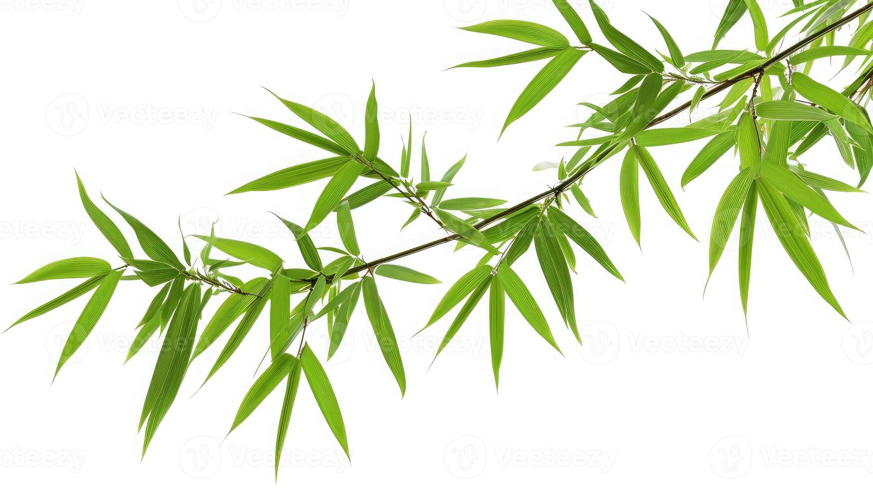 ai generiert Bambus Baum Ast isoliert auf Weiß Hintergrund foto