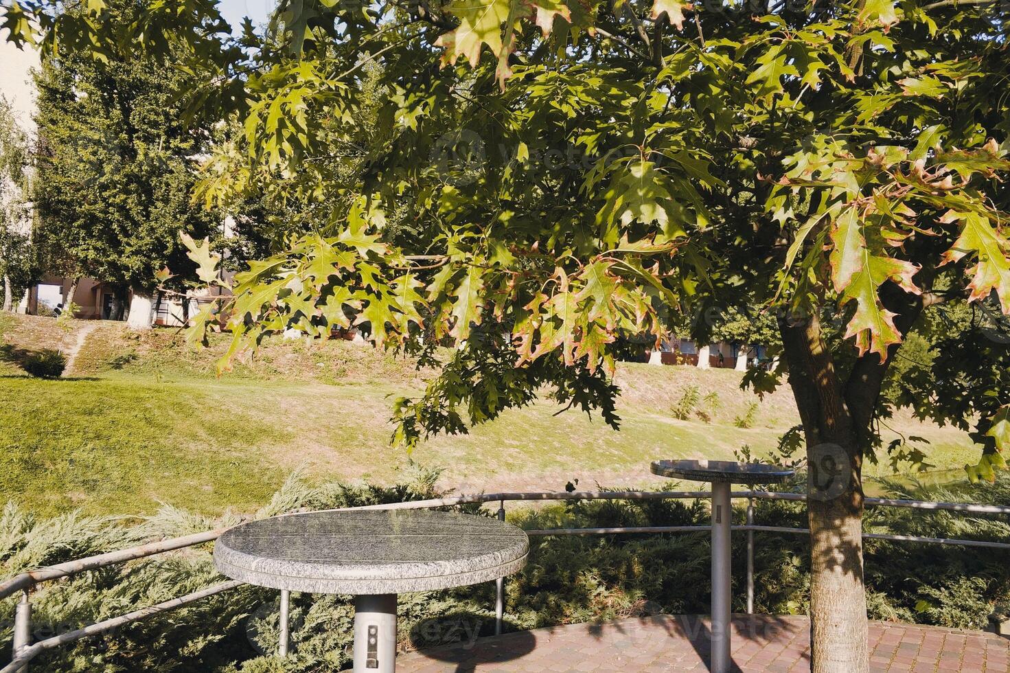ein sonnig Stadt Park, ein gemütlich Platz beim Tabellen unter ein breit Baum foto