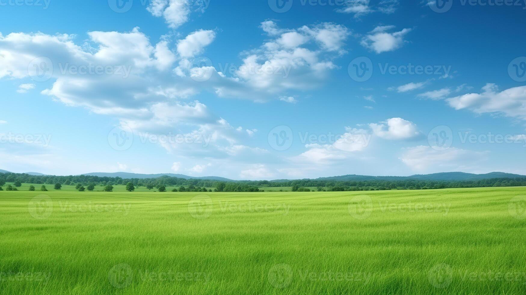 Grün Reis Feld und Blau Himmel mit Weiß Wolken, Natur Hintergrund. foto