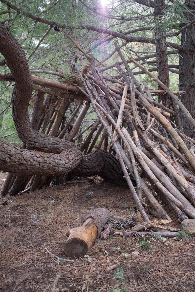 ein Bild von ein hölzern Schutz gemacht von Baum Geäst im das Wälder von Marbella. foto