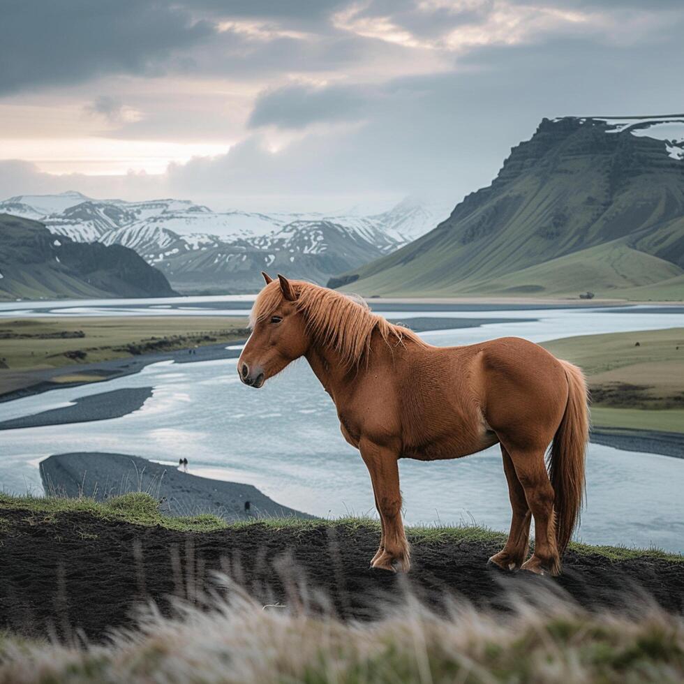ai generiert Pferd steht gegen atemberaubend isländisch Hintergrund, Erstellen atemberaubend Landschaft zum Sozial Medien Post Größe foto