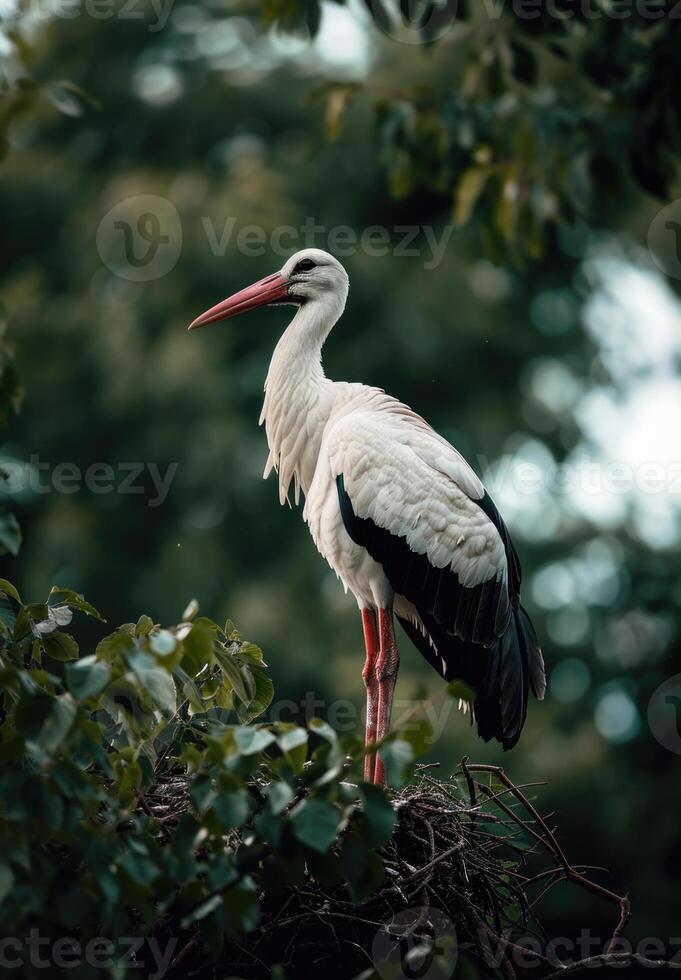 ai generiert majestätisch Storch Nahansicht im natürlich Lebensraum foto