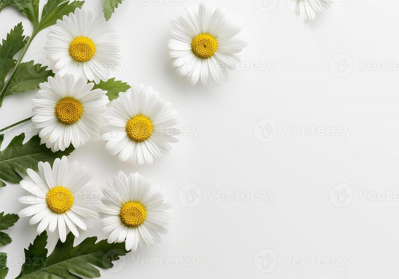 ai generiert Weiß Gänseblümchen und Grün Blätter auf ein Weiß Hintergrund foto