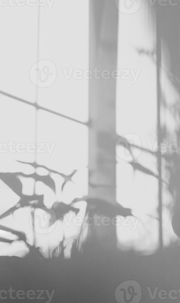 Schatten Haus Pflanzen und Blätter Silhouette Overlay auf Weiß Zement Mauer im Bett Zimmer, natürlich Sonnenlicht leuchtenden durch Fenster auf Beton Textur Oberfläche Hintergrund.Hintergrund zum Produkt Präsentation foto
