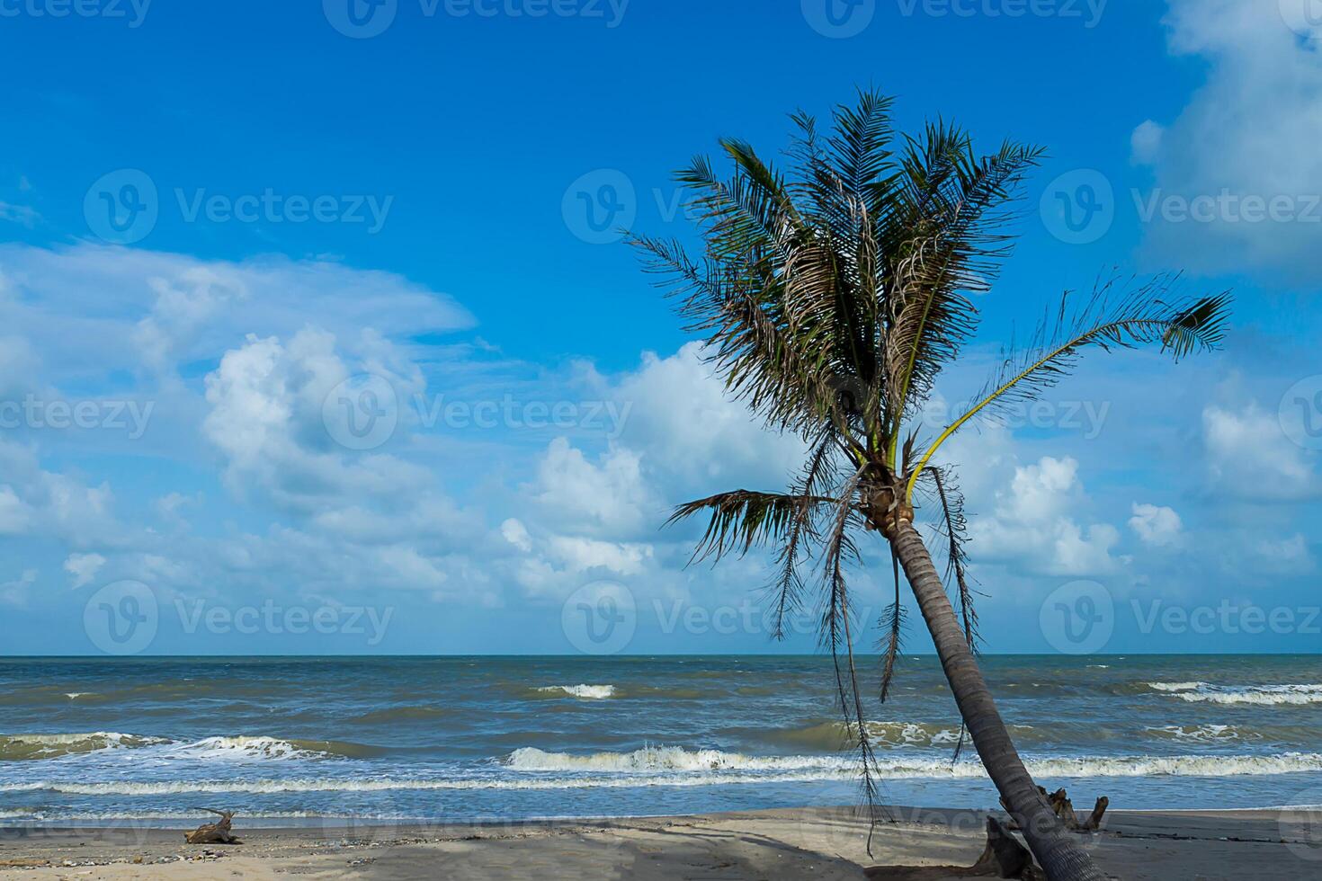 Wellen am Strand foto