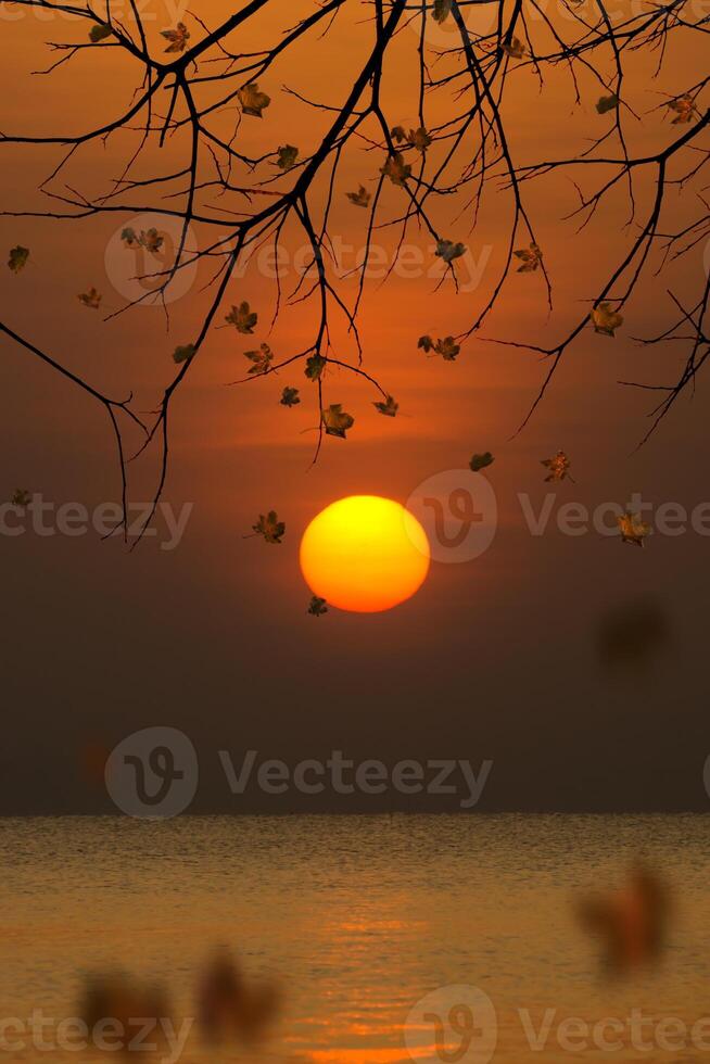 Sonnenuntergang Himmel auf das See foto