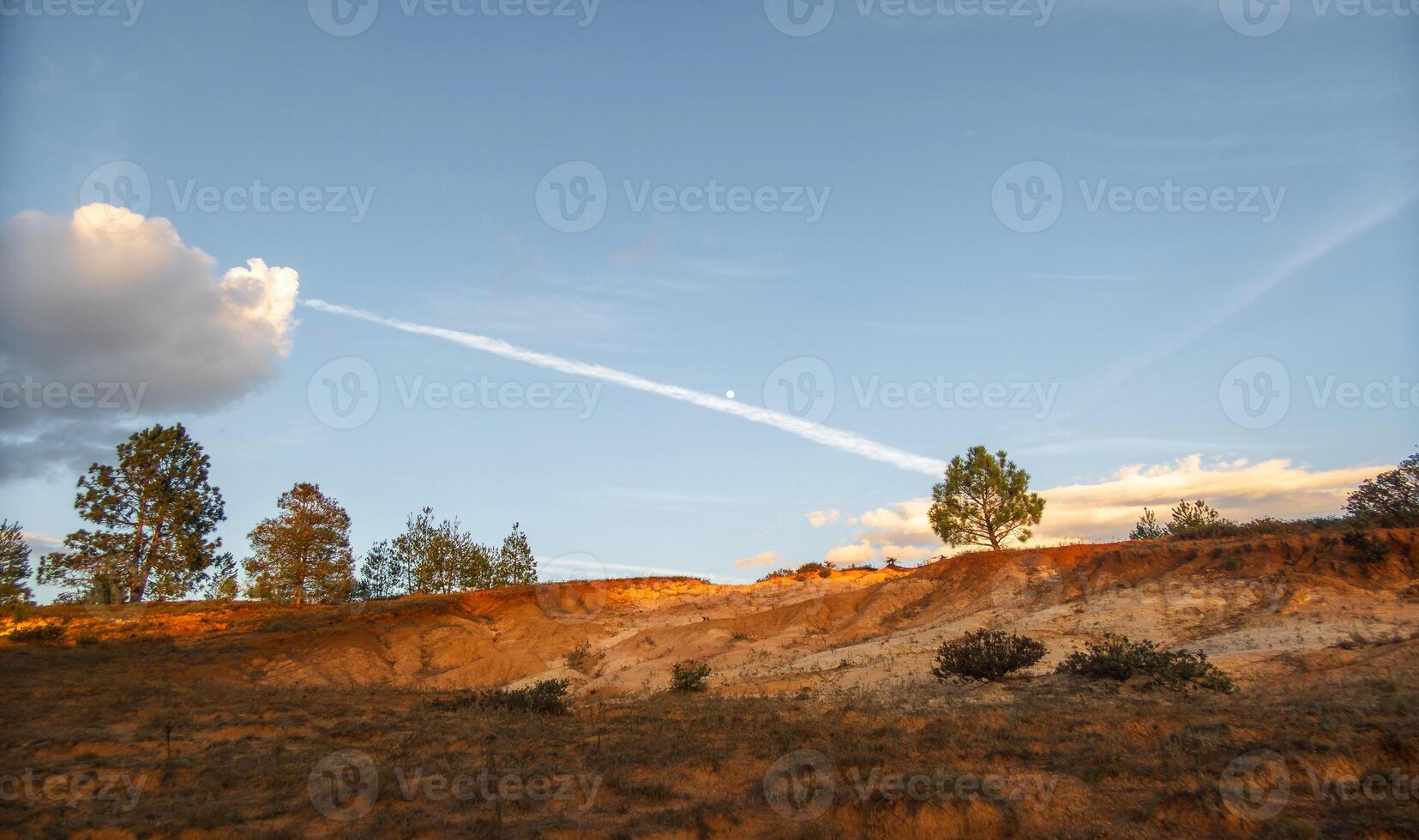 Landschaft mit Kiefer Bäume und Dünen im Mexiko mit Mond im das Himmel und Raum zum Text foto