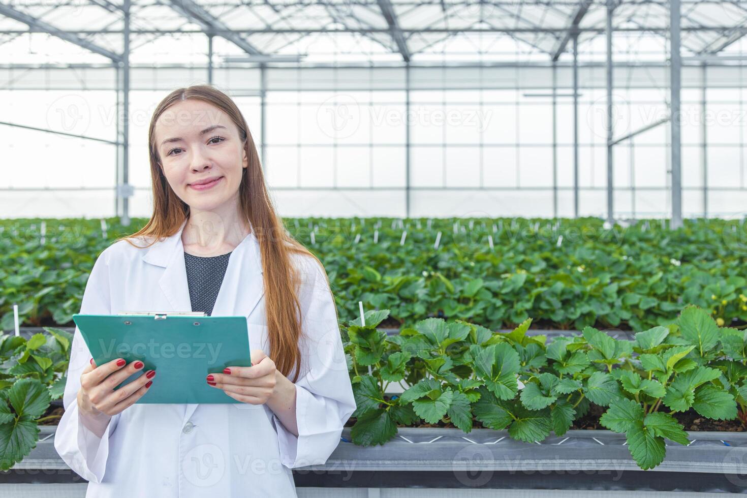 Porträt Wissenschaftler im groß Grün Haus organisch Erdbeere Landwirtschaft Bauernhof zum Pflanze Forschung Arbeiten Frau. foto