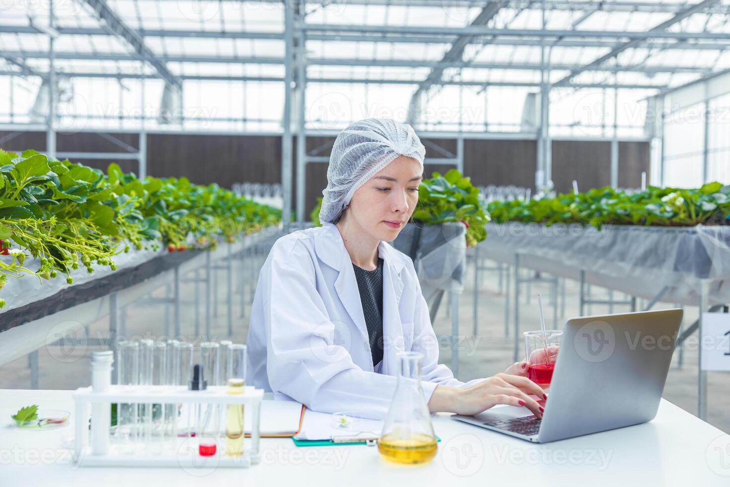 Wissenschaftler Arbeiten im organisch Landwirtschaft Bauernhof Forschung Neu chemisch Formel Extrakt von Pflanze zum medizinisch Konzept. foto