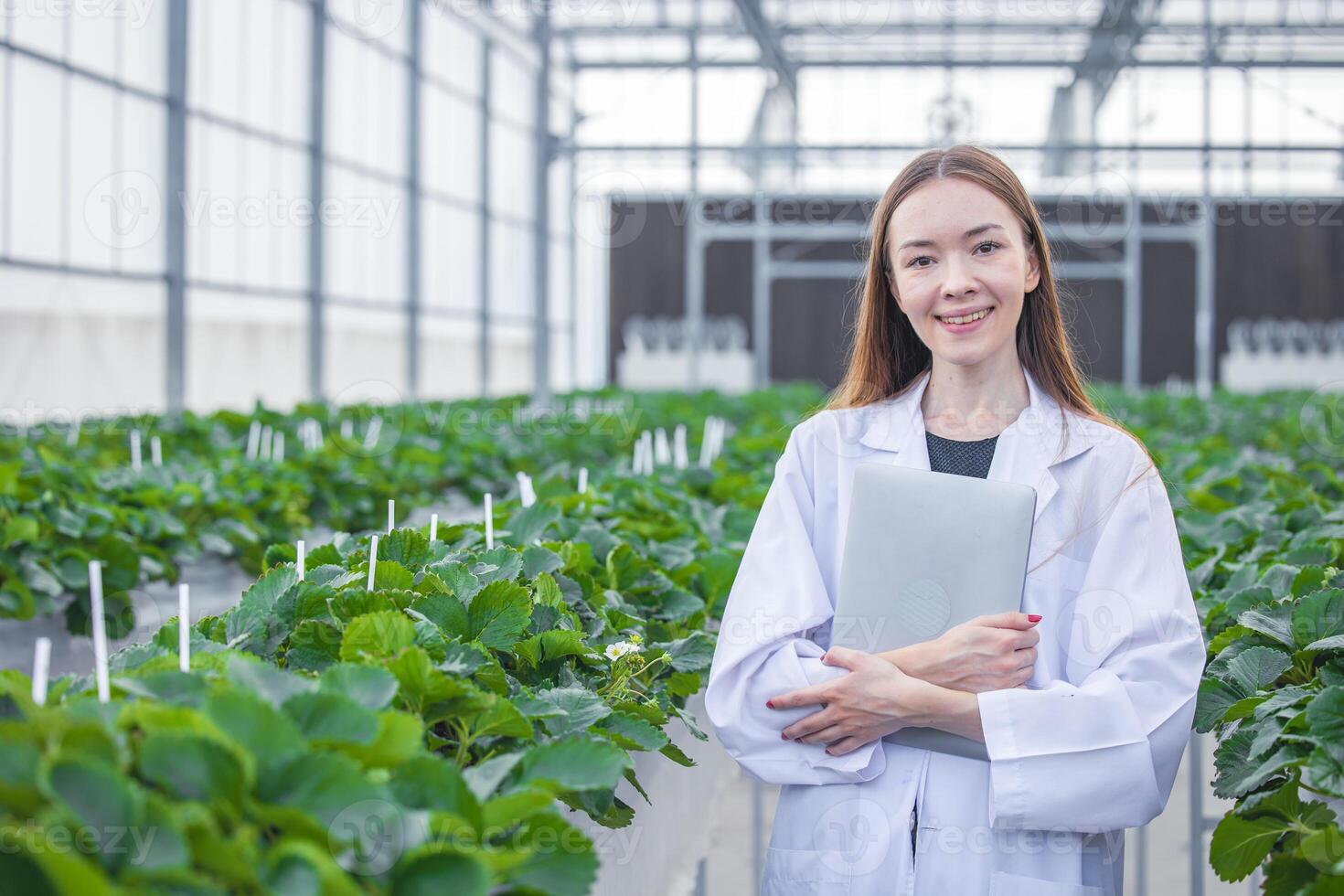 Porträt Wissenschaftler im groß Grün Haus organisch Erdbeere Landwirtschaft Bauernhof zum Pflanze Forschung Arbeiten Frau. foto