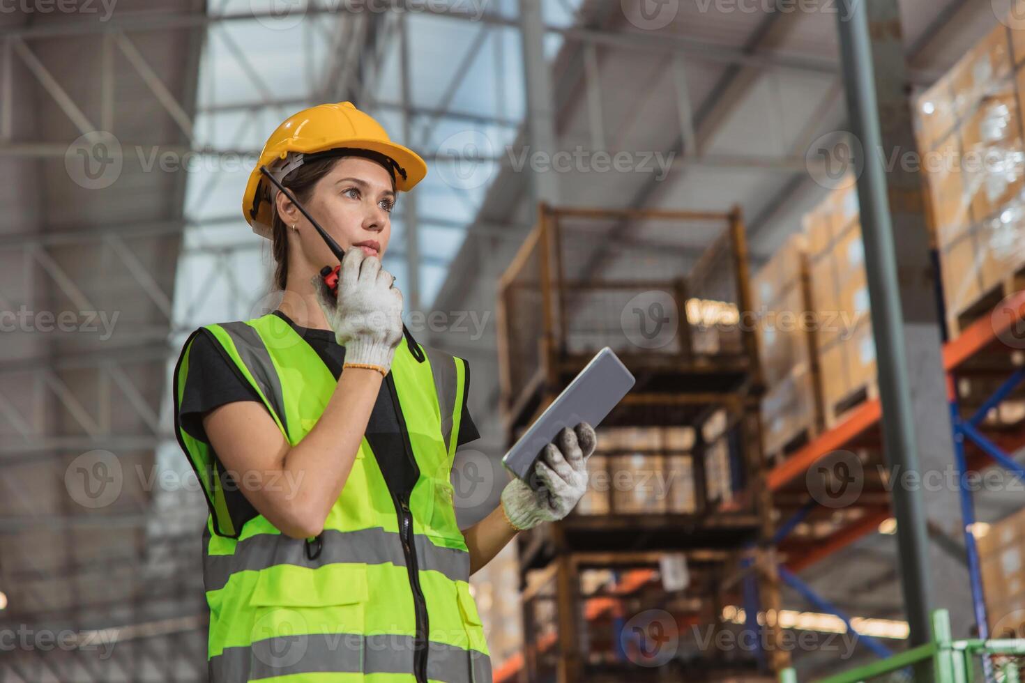 Porträt Arbeiten Frau Mitarbeiter Arbeiter Inventar Verwaltung Supervisor Mannschaft Arbeit arbeiten Warenhaus Produkte Versand Steuerung Arbeit. foto