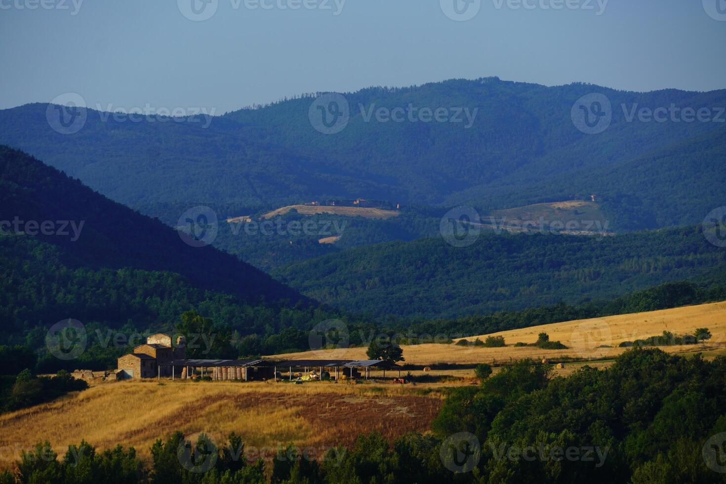 Sommer- Landschaft im toscana im Italien foto